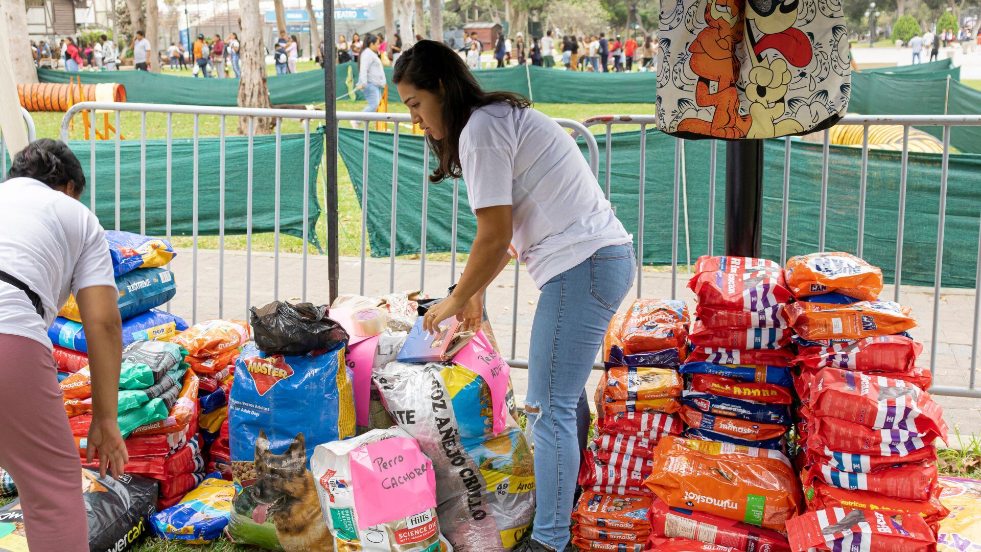 Puedes acercarte al Parque de la Exposición para que participes de este evento en beneficio de los animales abandonados| MML