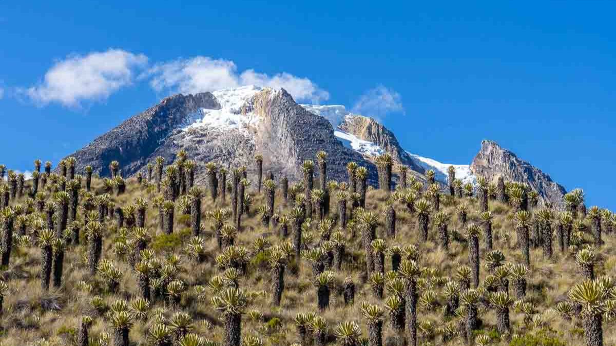 Vista del Nevado del Tolima