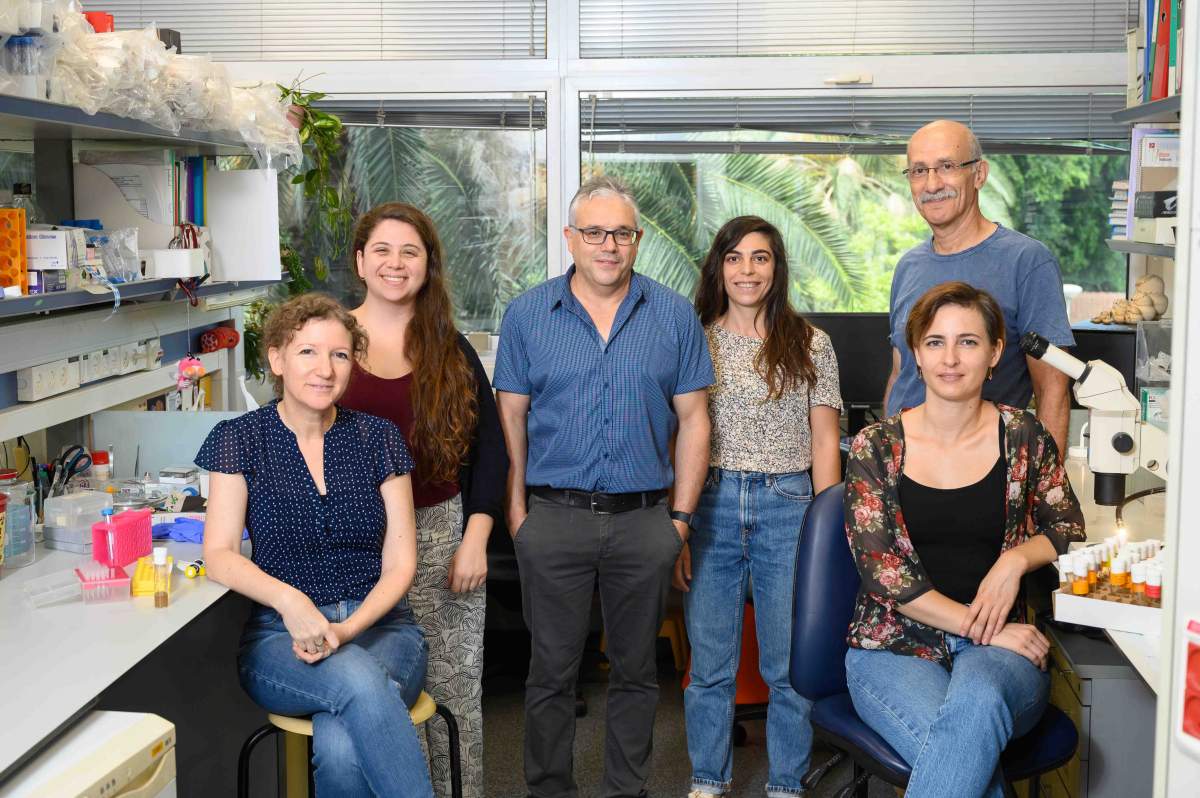 (izq.) Dra. Keren Yacobi-Sharon, Shoshana Sernik, Prof. Eli Arama, Sharon Ben-Hur, Dr. Eyal Schejter y Dra. Alina Kolpakova (Instituto Weizmann de Ciencias)