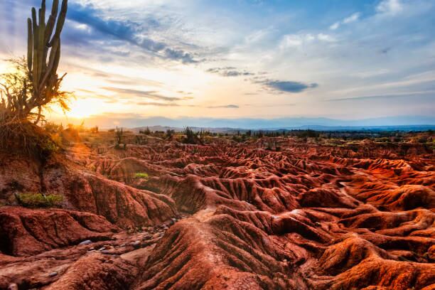 El reciente Congreso Geológico Internacional destacó la Tatacoa por sus excepcionales yacimientos paleontológicos, cruciales para entender el cambio climático pasado y futuro - crédito iStock