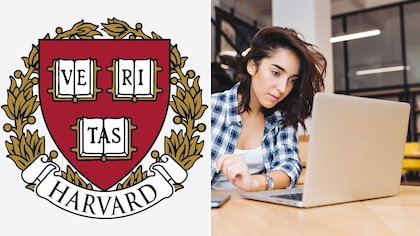 Cinco cursos de Harvard para aprender sobre inteligencia artificial y tener un mejor trabajo