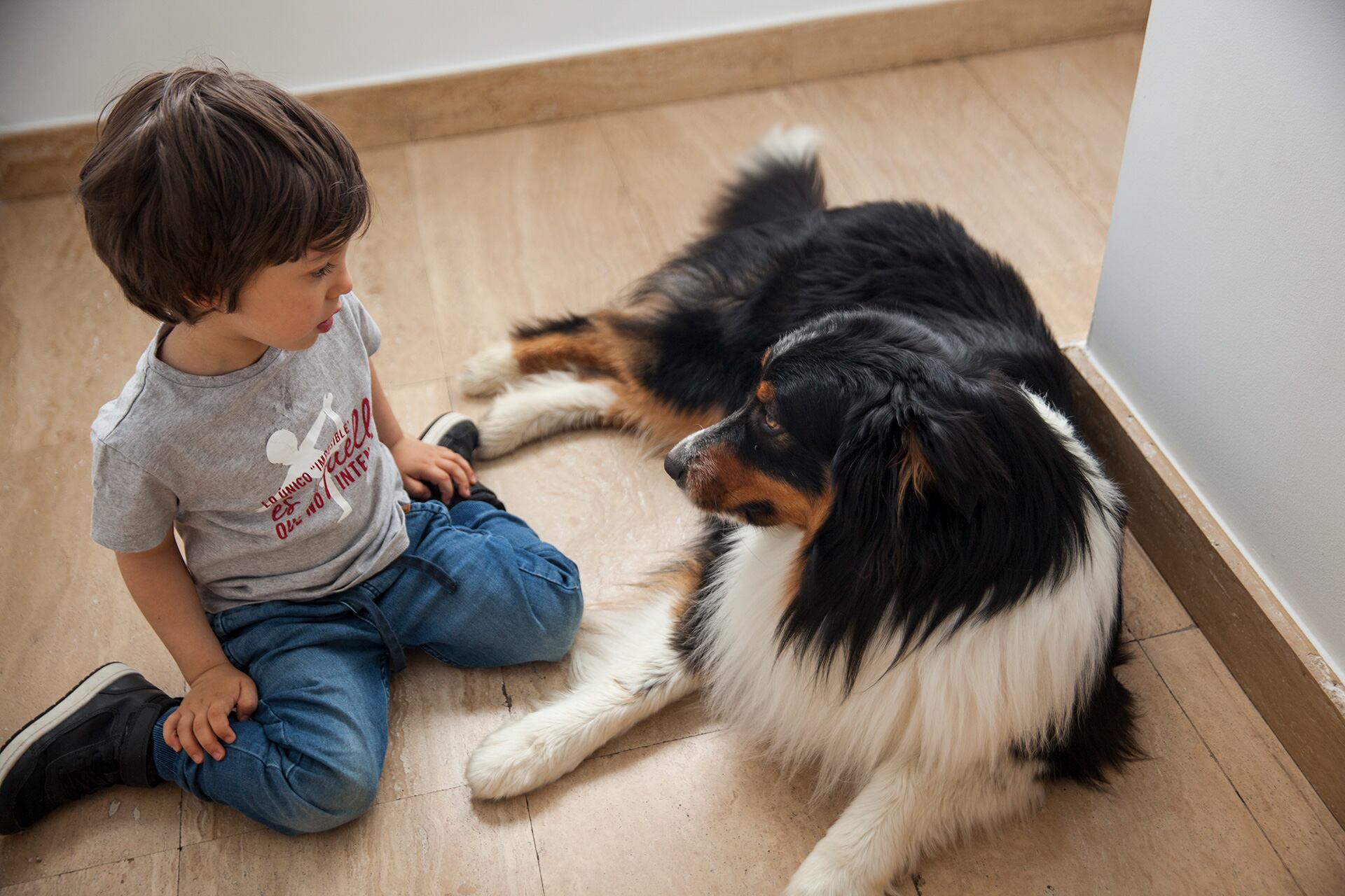 Perros de asistencia