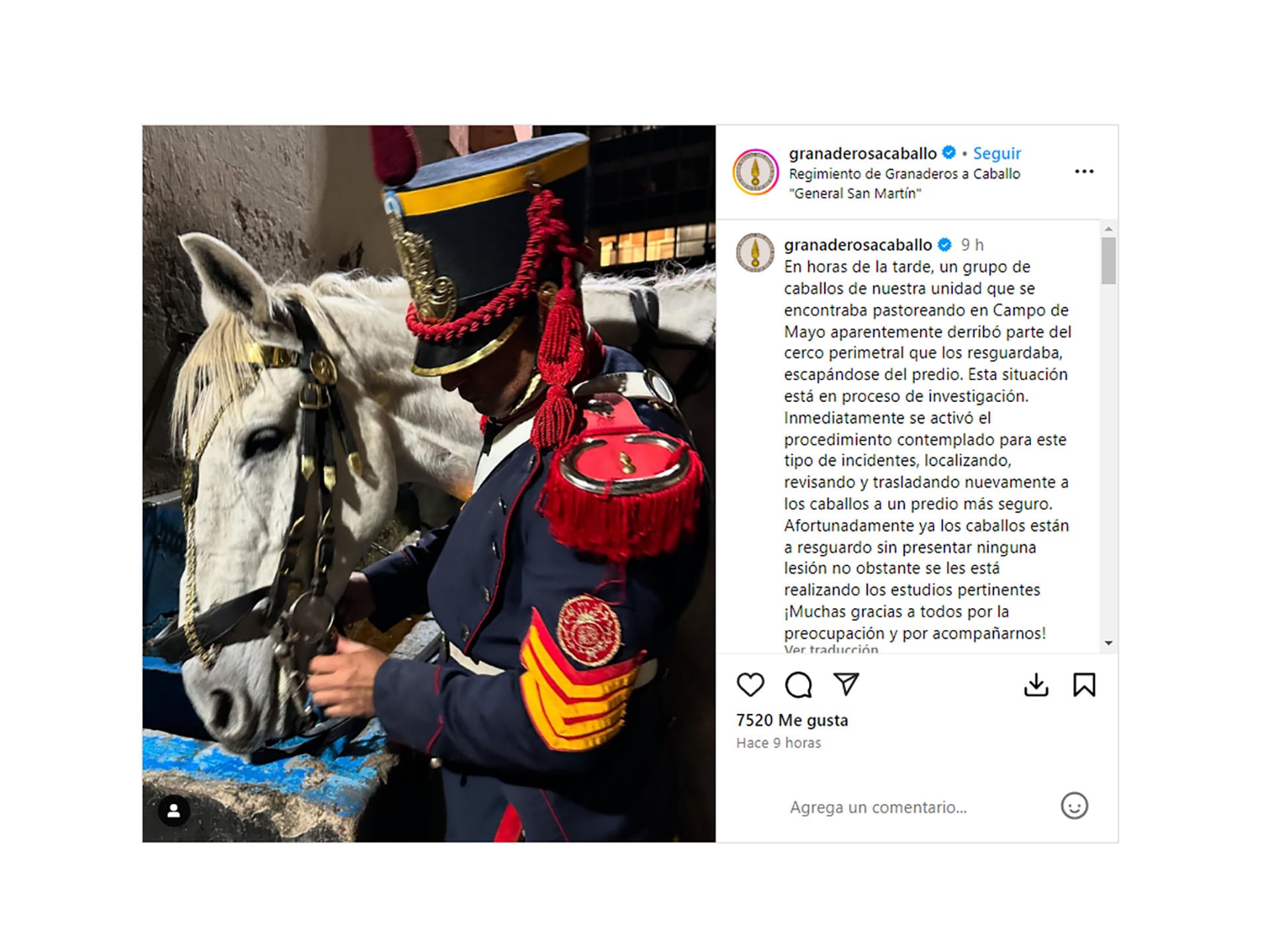 Información de granaderos a caballo posteo