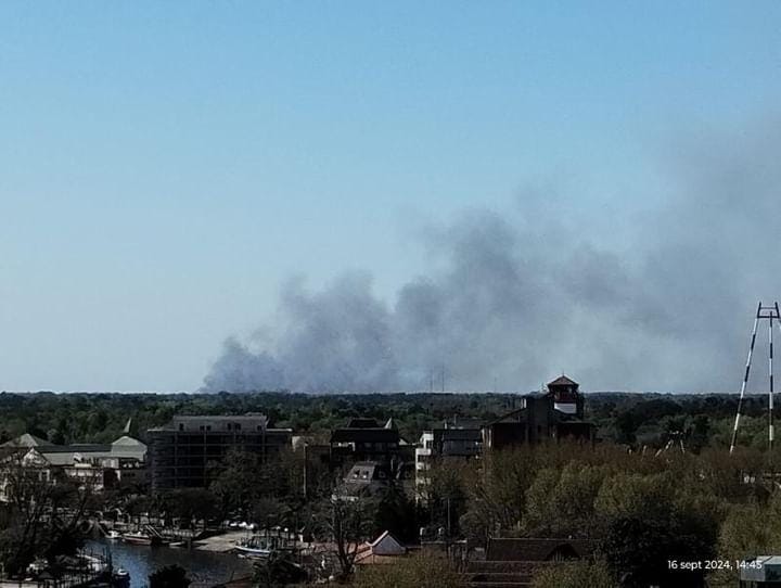 Incendio en el Delta del Tigre