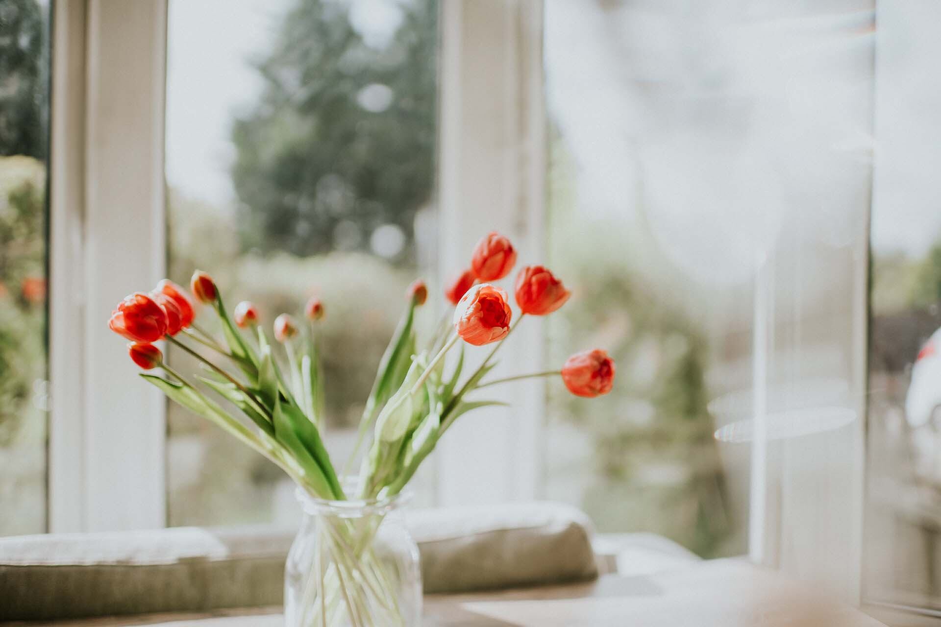 Tulipanes rojos