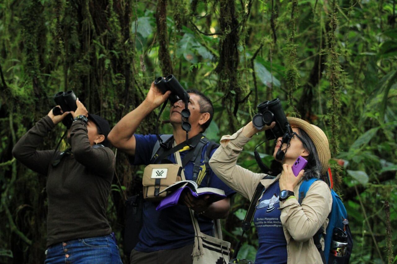 Colombia se destacó en el evento de conteo de especies de aves más importante del mundo, al identificar más de 1.550 especies de aves, resaltando su biodiversidad única a nivel mundial - crédito ProColombia