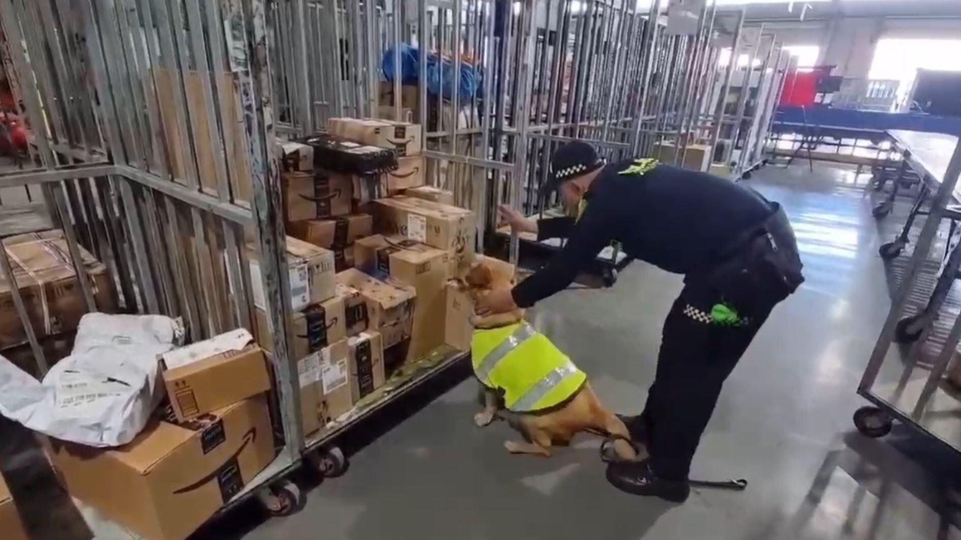 En una de las bodegas de envíos internacionales se encontraba el paquete que identificó uno de los agentes caninos - crédito Mebog