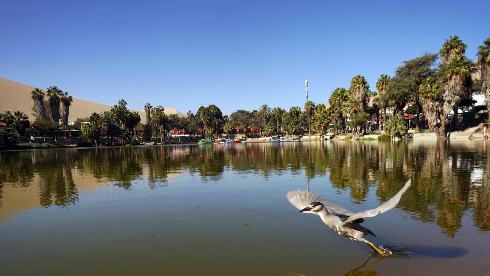 Huacachina