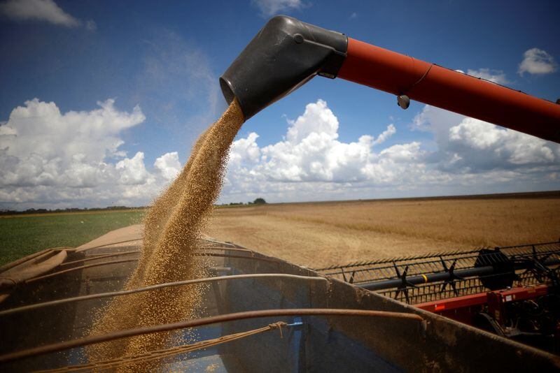 En contraste, las negociaciones de las condiciones FOB argentinas tuvieron un notable fortalecimiento, generando primas positivas significativas en el mercado de harina de soja y logrando revertir las cifras negativas en el caso del aceite de soja (Foto: REUTERS/Adriano Machado/Archivo)