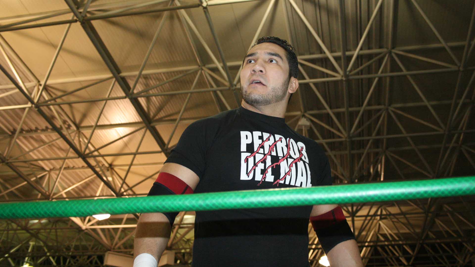 ¿Presentía su muerte? Revelan nuevos detalles sobre el Perro Aguayo Jr.