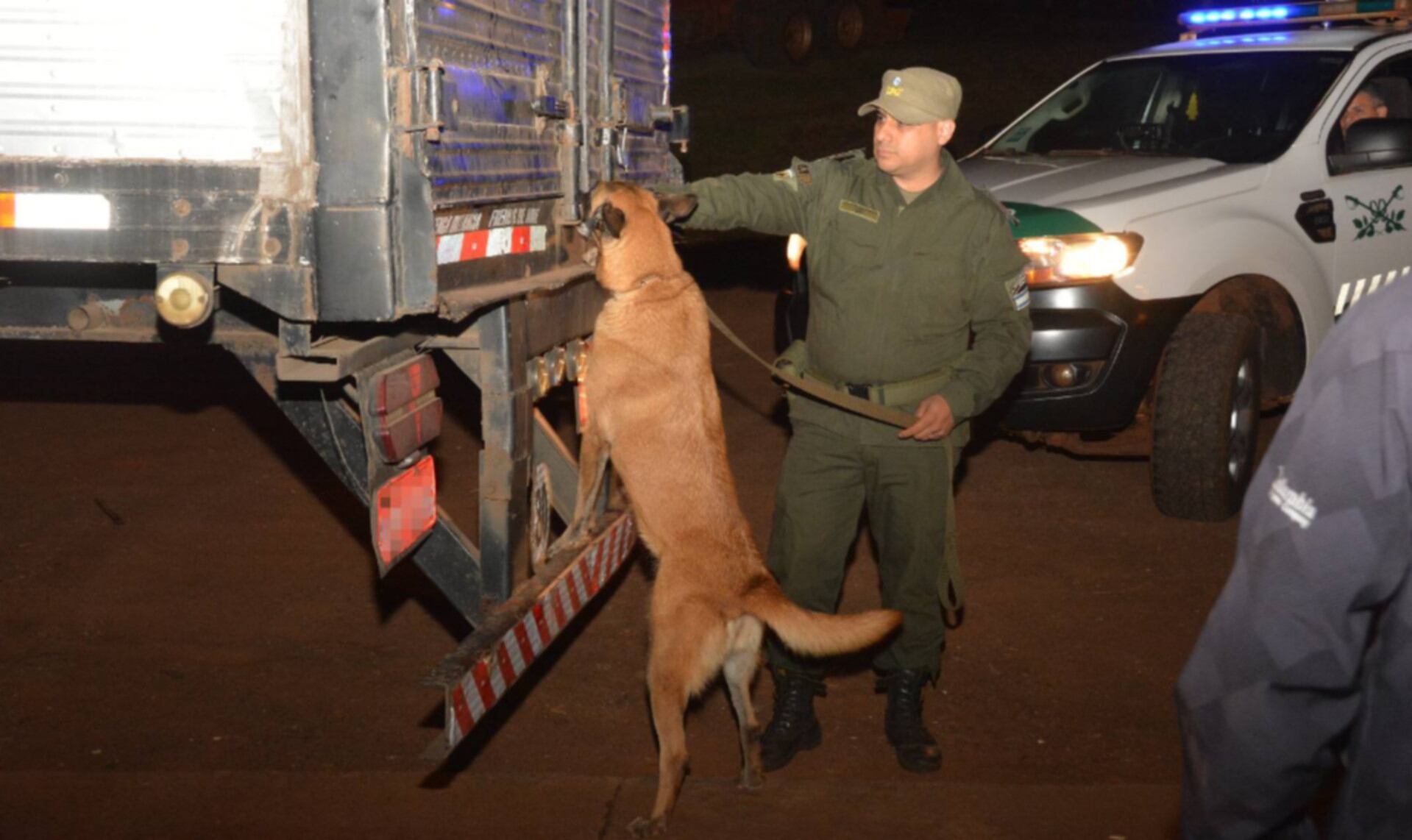 Gendarmería incautó más de 7.900 kilos de marihuana dentro de un camión frigorífico en Misiones (GNA)