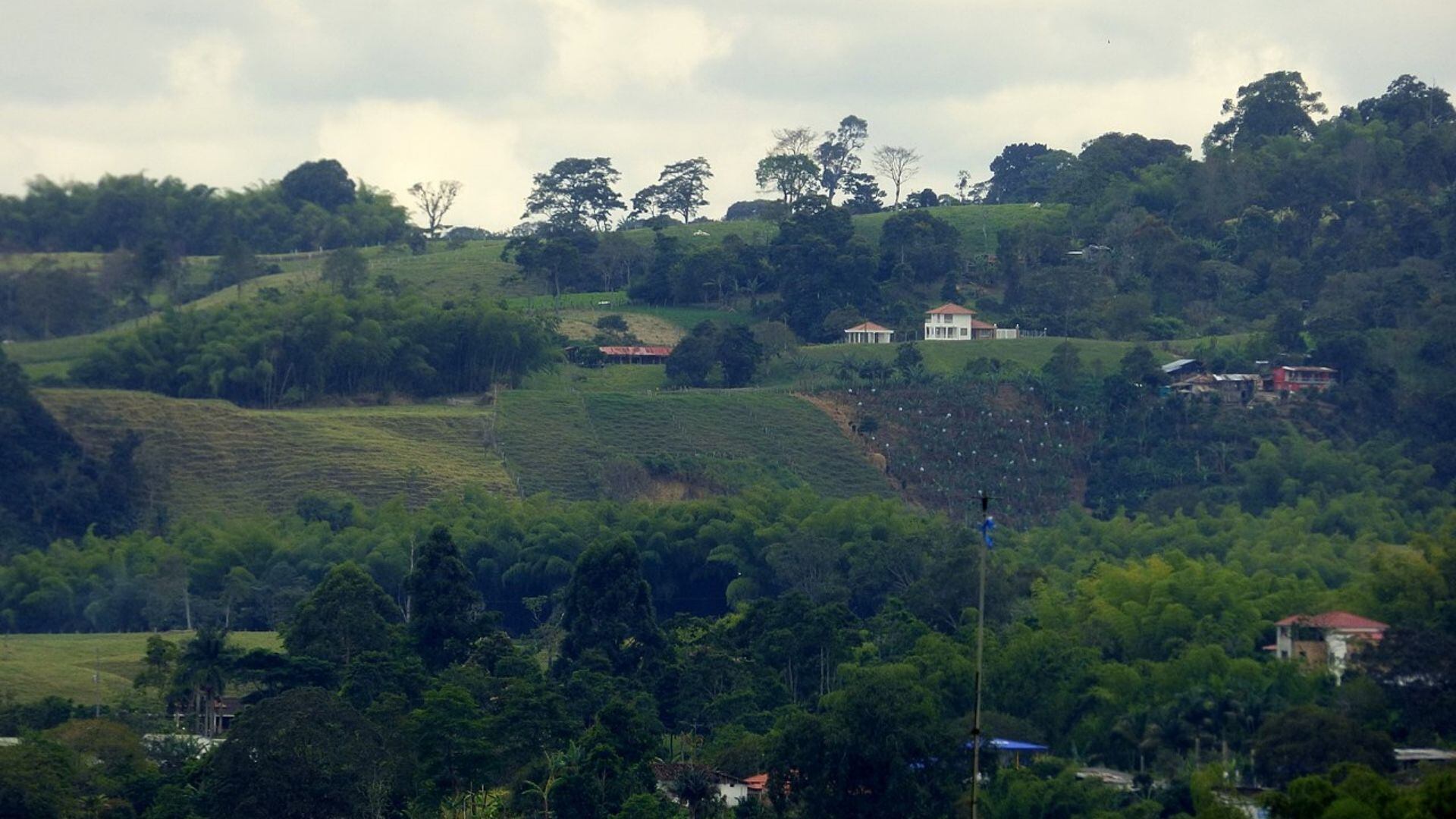 Noroeste de Armenia, Quindío. Alejandro Bayer Tamayo/Wikimedia Commons