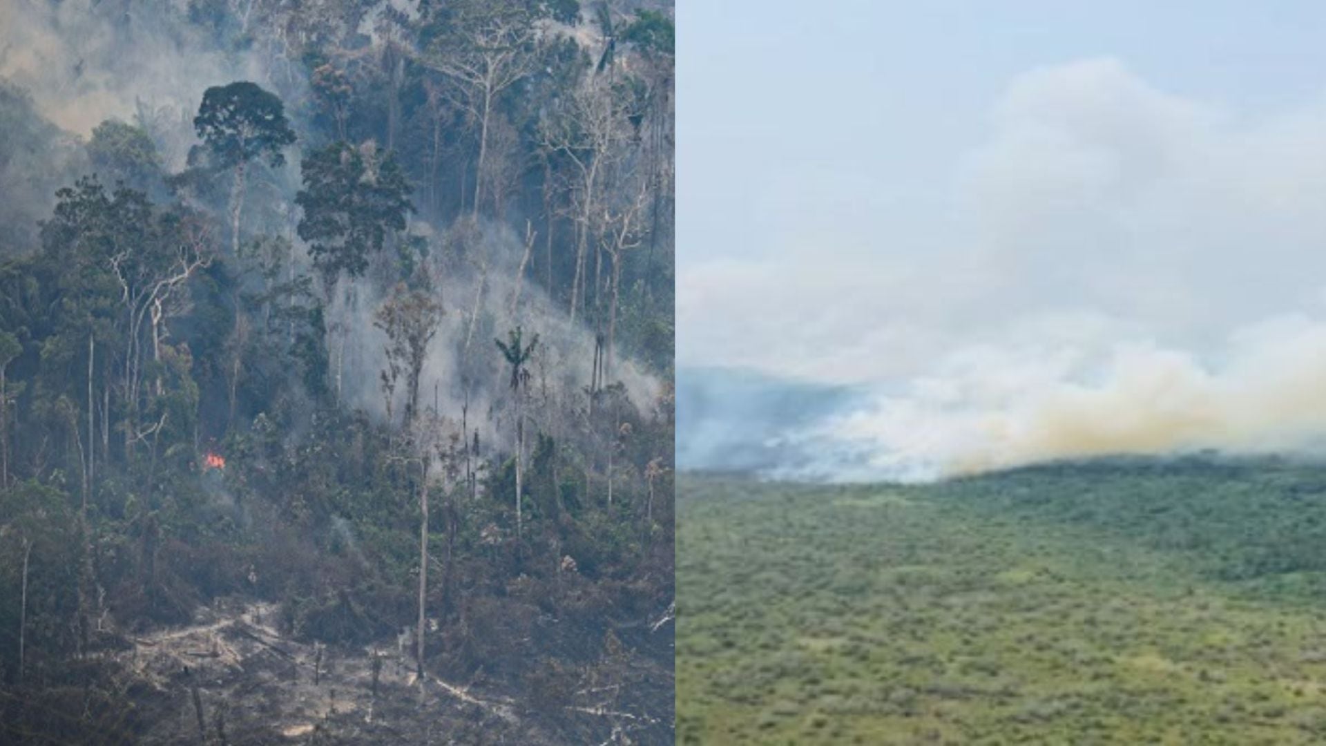 Ucayali, Incendio forestal.