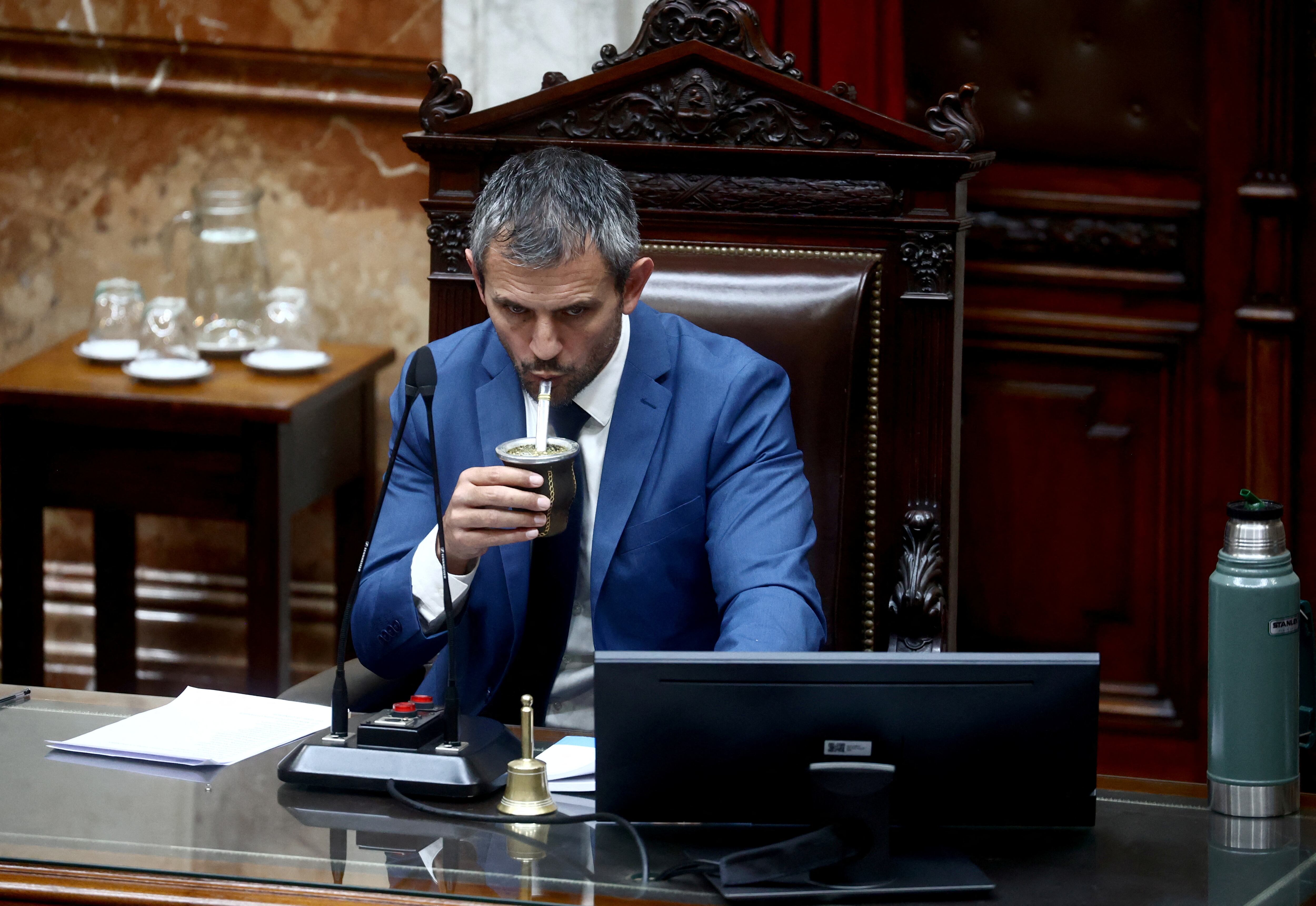 Martín Menem, presidente de la Cámara de Diputados. Foto: REUTERS/Tomas Cuesta