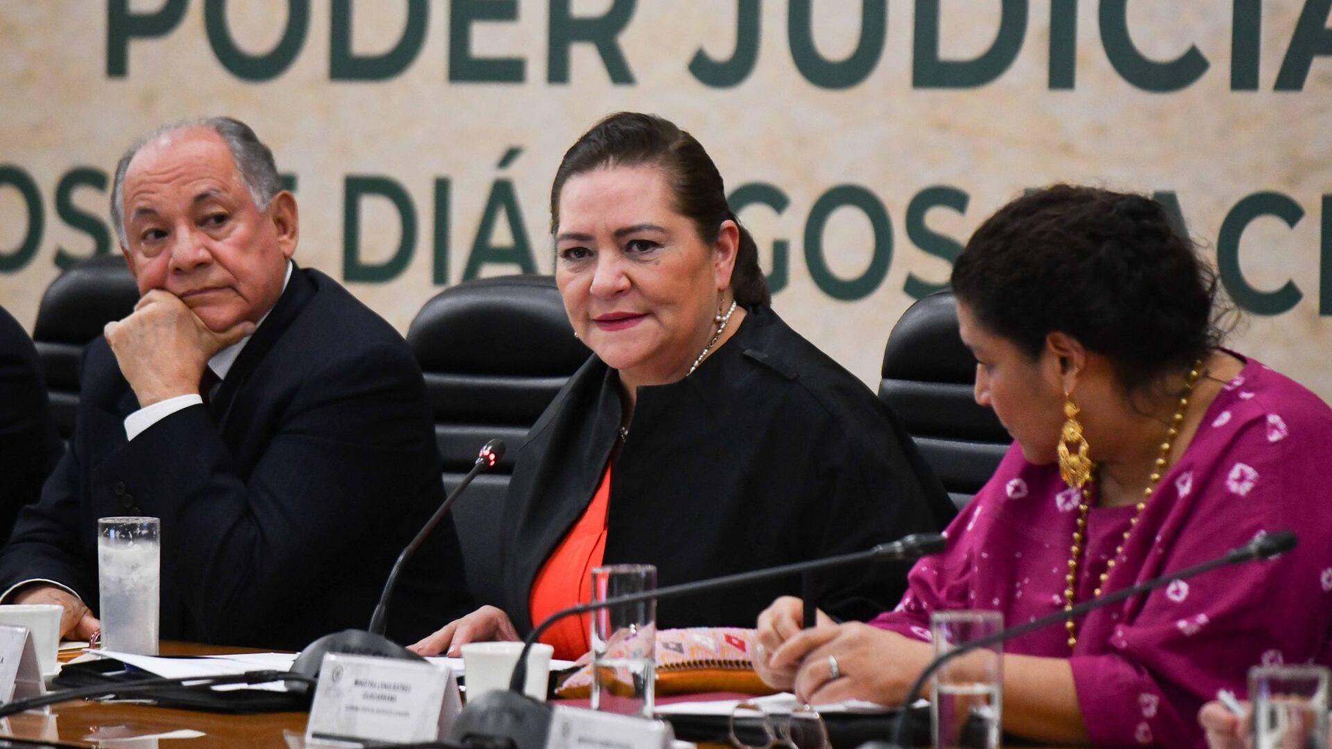 Guadalupe Taddei-INE-México-30 de julio