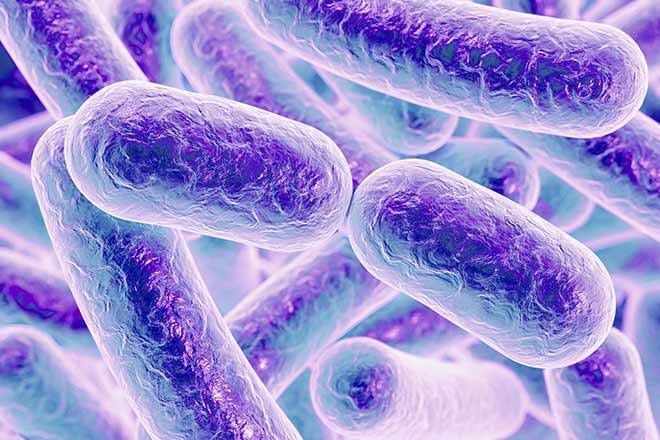 Los investigadores han aprovechado la vasta cantidad de datos biológicos disponibles en los microbiomas intestinales para identificar nuevas moléculas antimicrobianas, subrayando la importancia de la biotecnología en la búsqueda de nuevos fármacos 