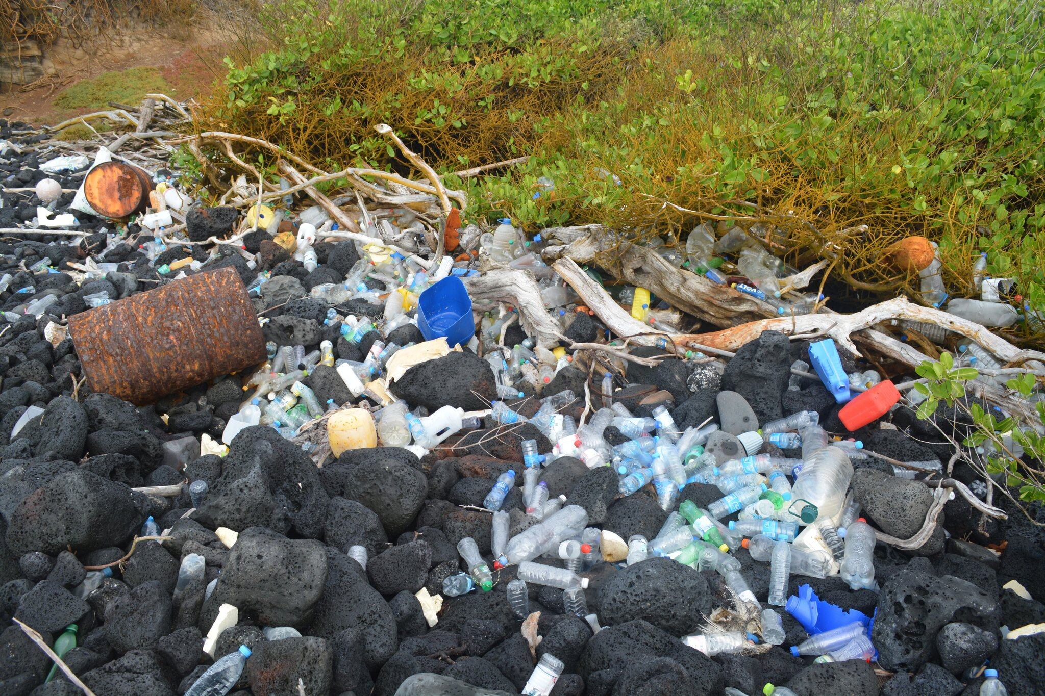 El 99% de los desechos reciclables que se recolectan como basura en las Islas Galápagos, ubicadas en el Pacífico ecuatoriano y Patrimonio de la Humanidad, provienen de países de Asia y América Latina. (Foto: Frente Insular).