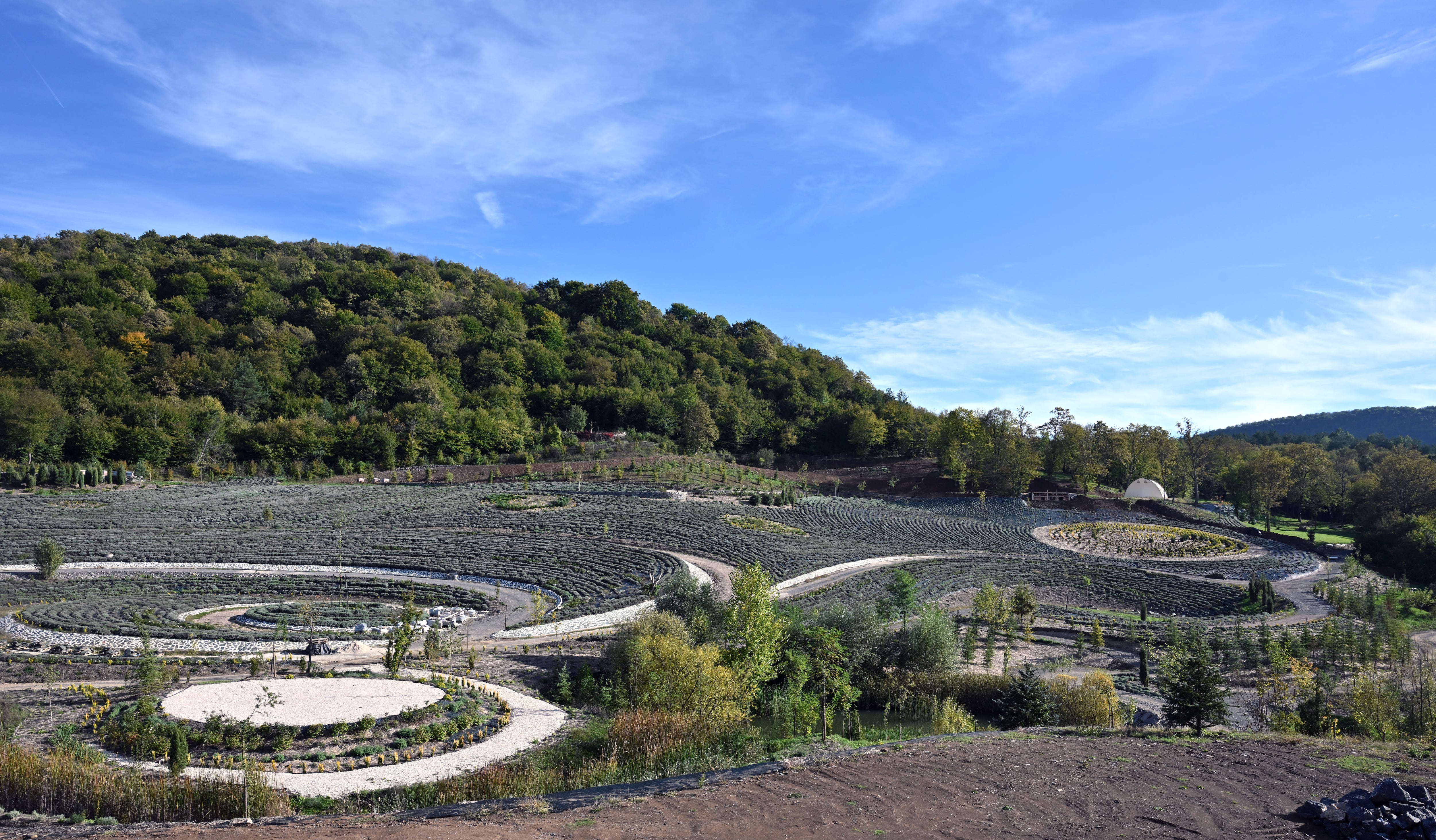 Parque Van Gogh Bosnia