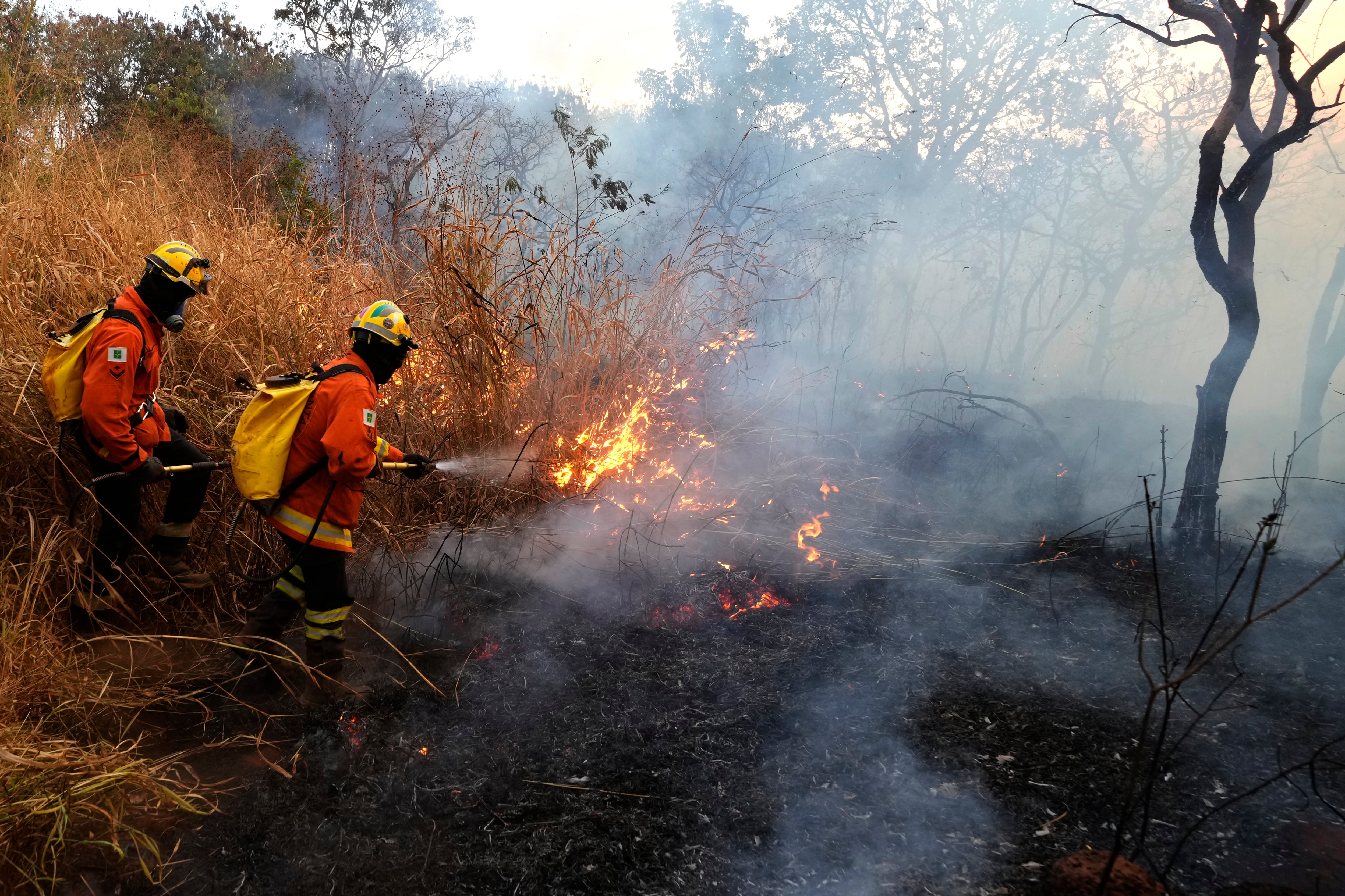 incendios en brasil