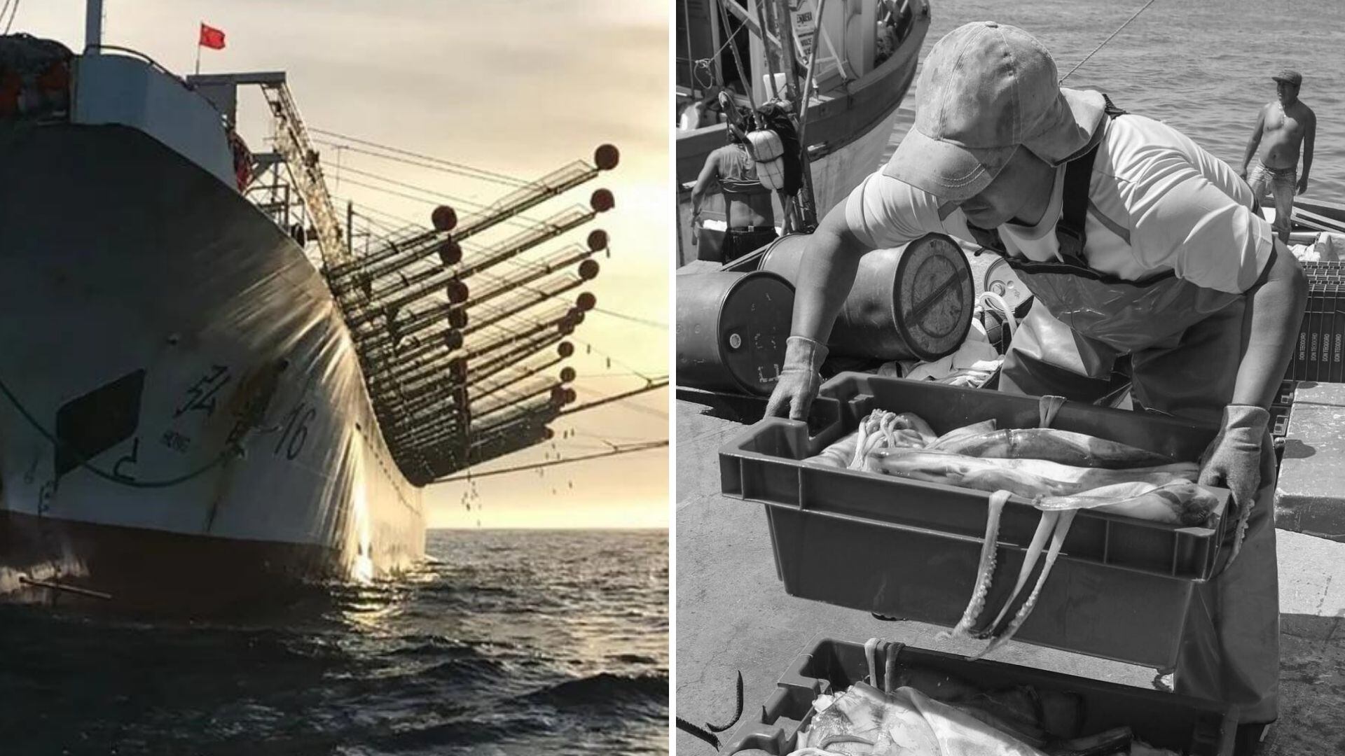 Barco chino para pesca de pota y trabajador peruano recogiendo pota