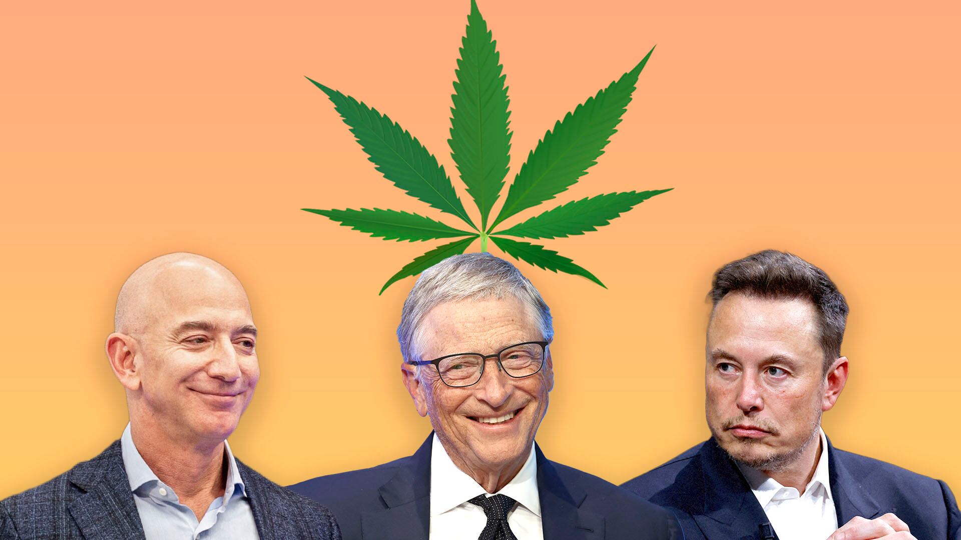 Jeff Bezos Bill Gates y Elon Musk con una hoja de marihuana portada