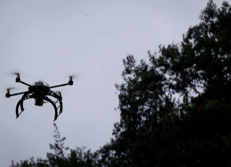 Ocho de los 40 ataques con drones se efectuaron en Argelia, Cauca, según reporte de las autoridades - crédito Colprensa