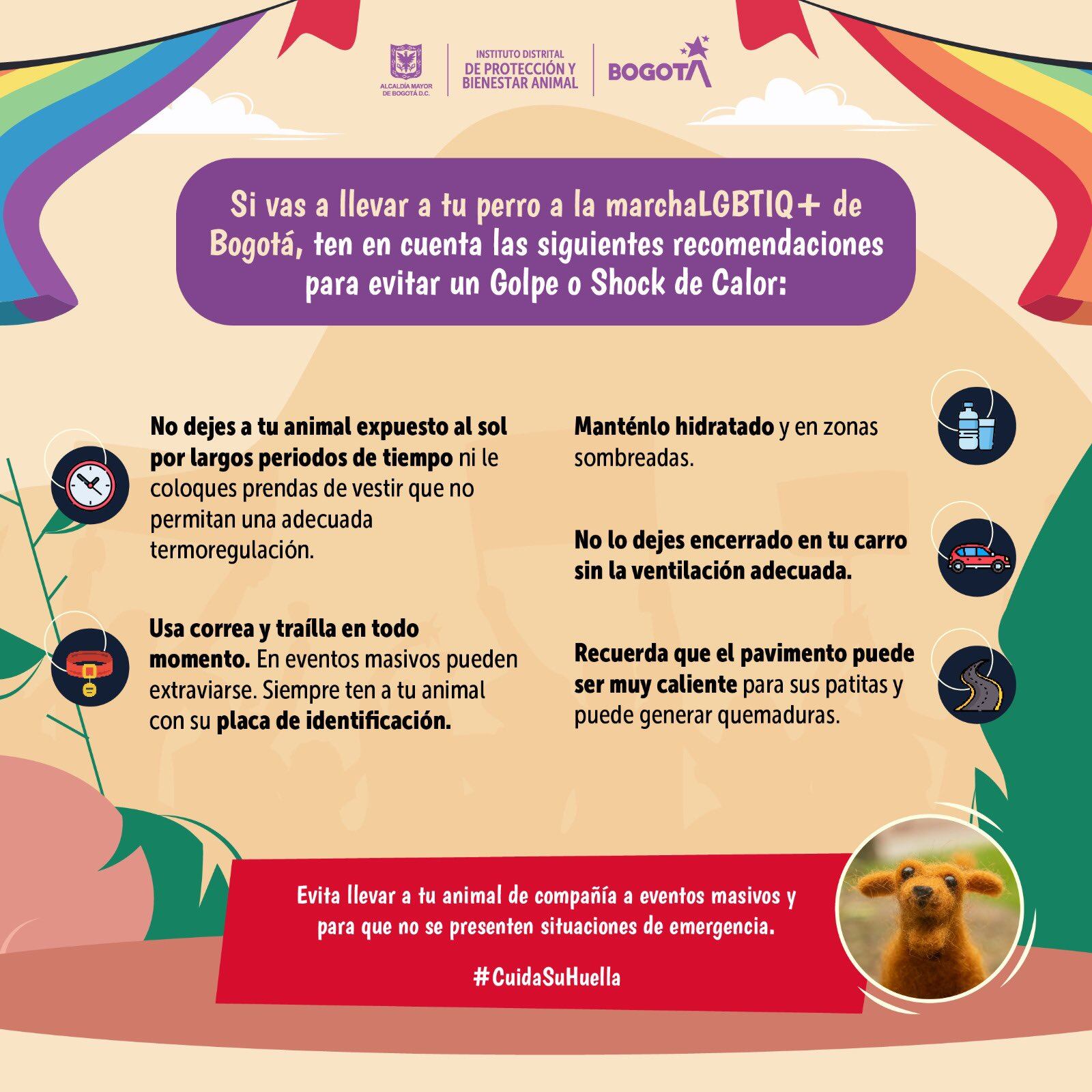 Recomendaciones si lleva a su mascota a la marcha del orgullo - crédito @AnimalesBOG / X