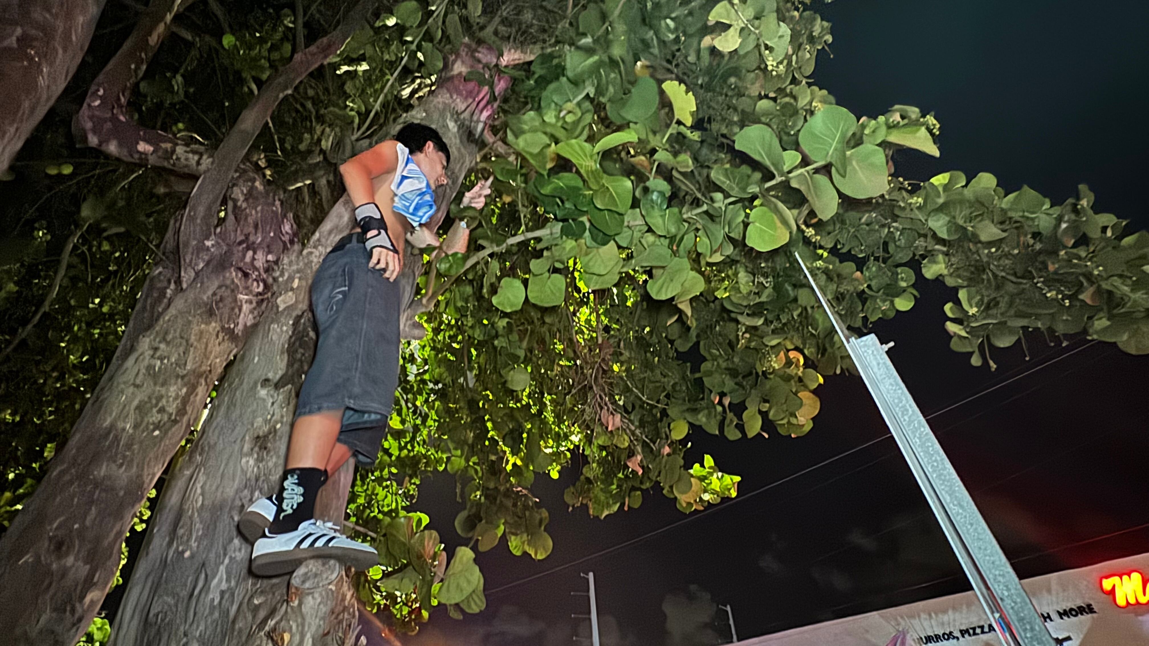 Una multitud de hinchas argentinos, vestidos con camisetas de la selección y agitando banderas celestes y blancas, celebra en las calles de Miami Beach durante la noche. La gente se muestra eufórica, tomando fotos y cantando, en una atmósfera festiva y llena de emoción tras la victoria de la Selección Argentina en la Copa América.