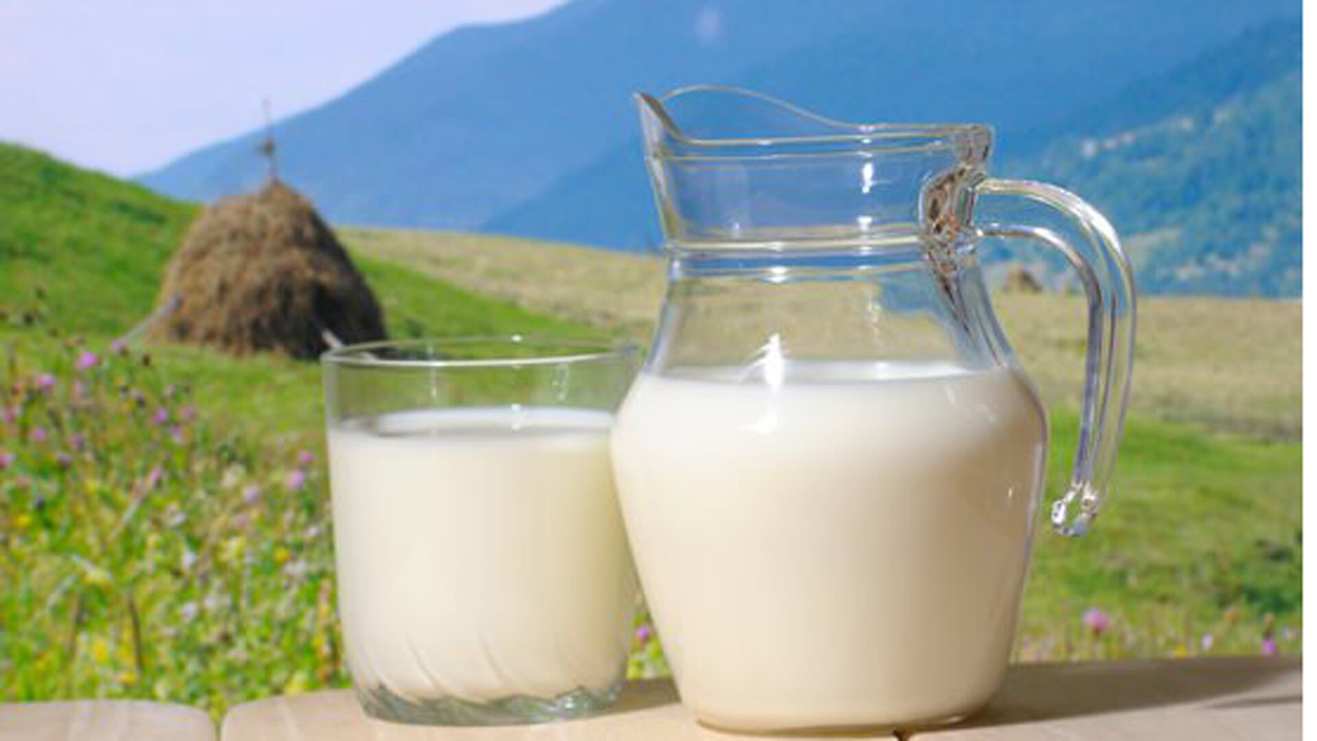 Estas son alternativas vegetales de la leche natural (Archivo)