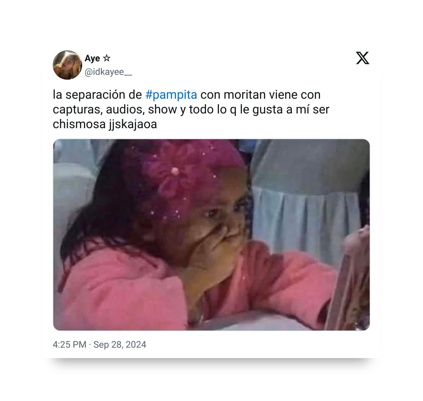 Los memes más divertidos de la separación de Pampita y Roberto García Moritán