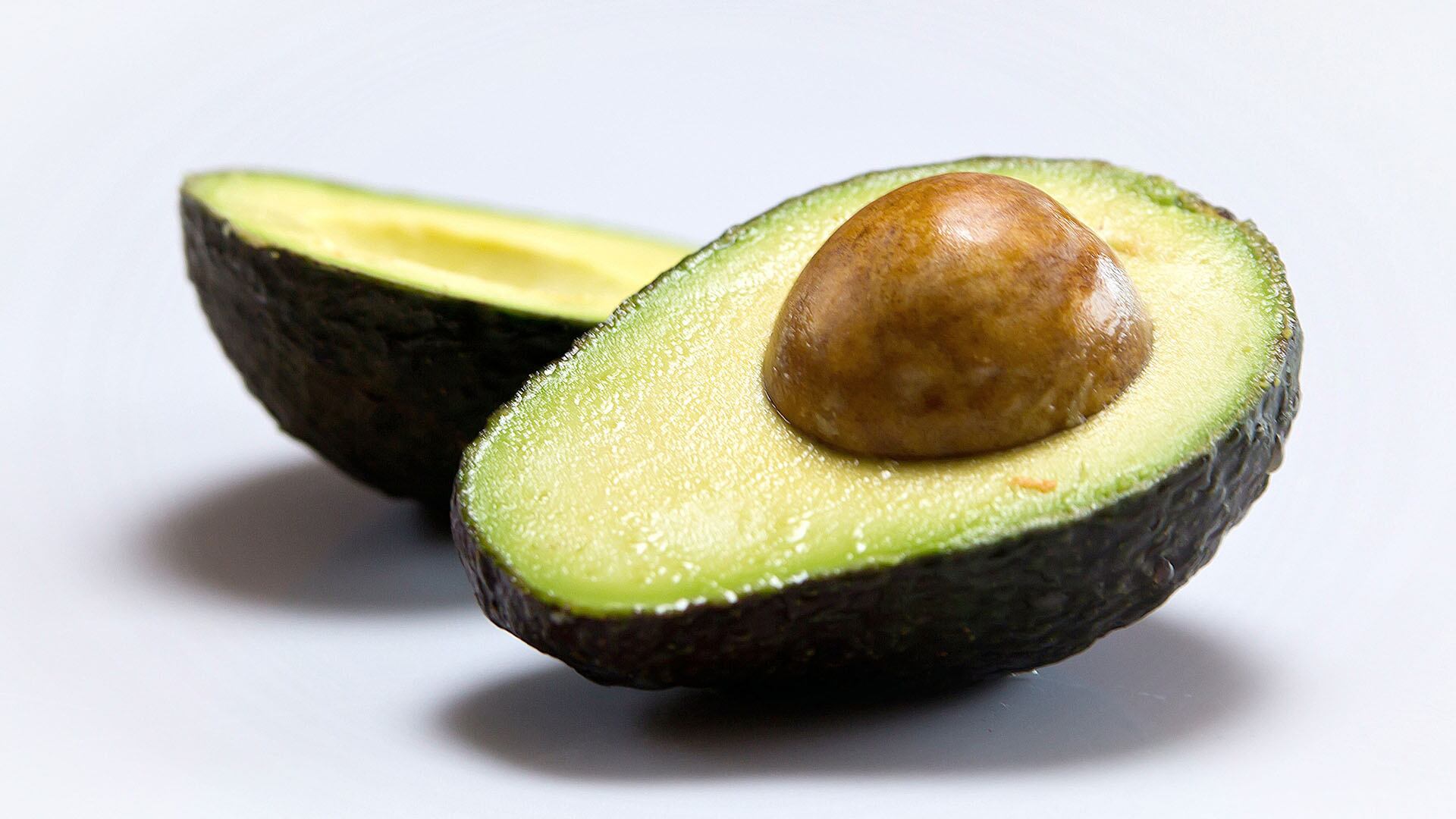 semilla de palta