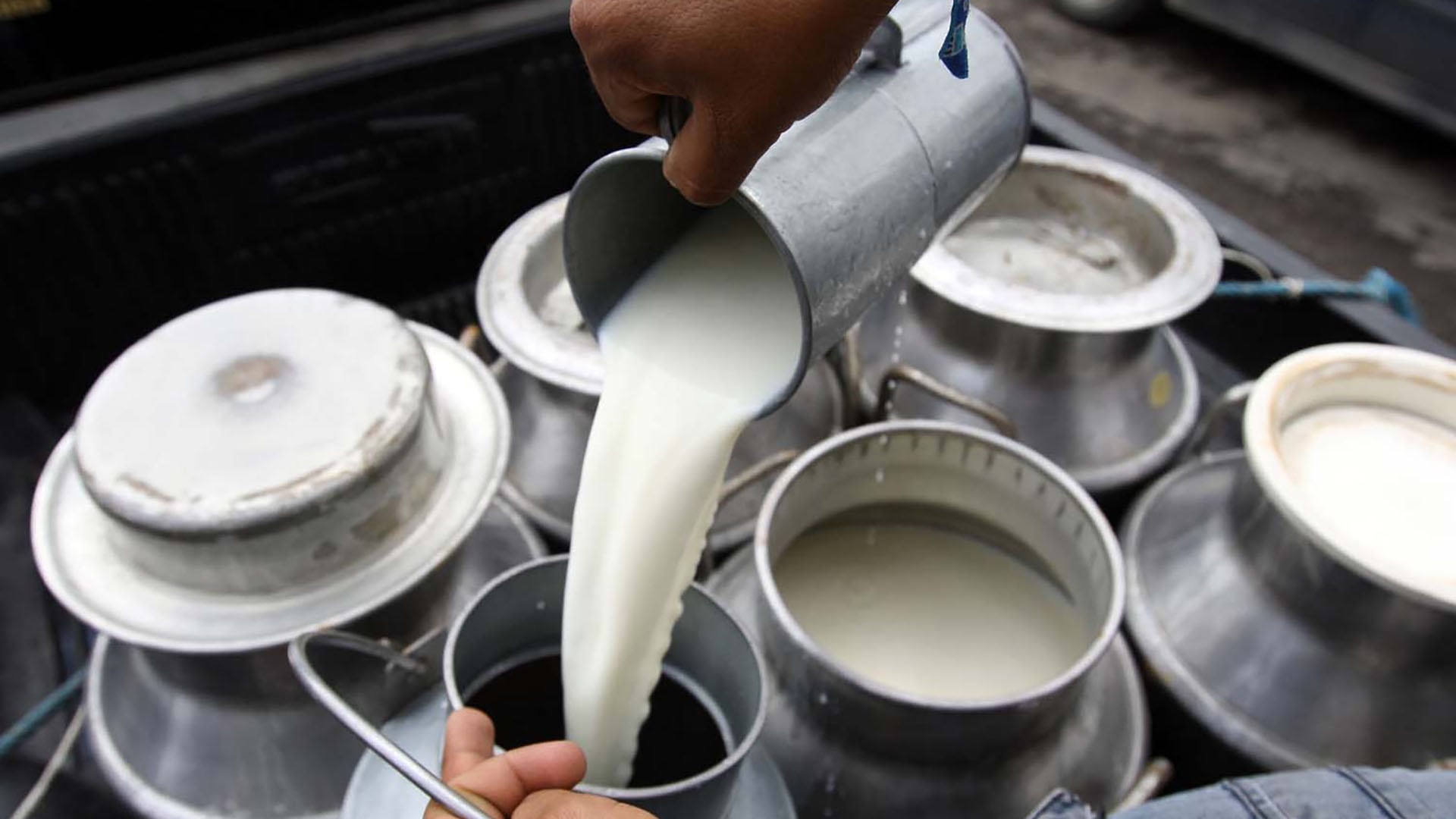 La participación de los tamberos en el precio del litro de leche en la góndola está cerca del 30%. Sin embargo, los productores viven una situación similar a la crisis de hace tres años