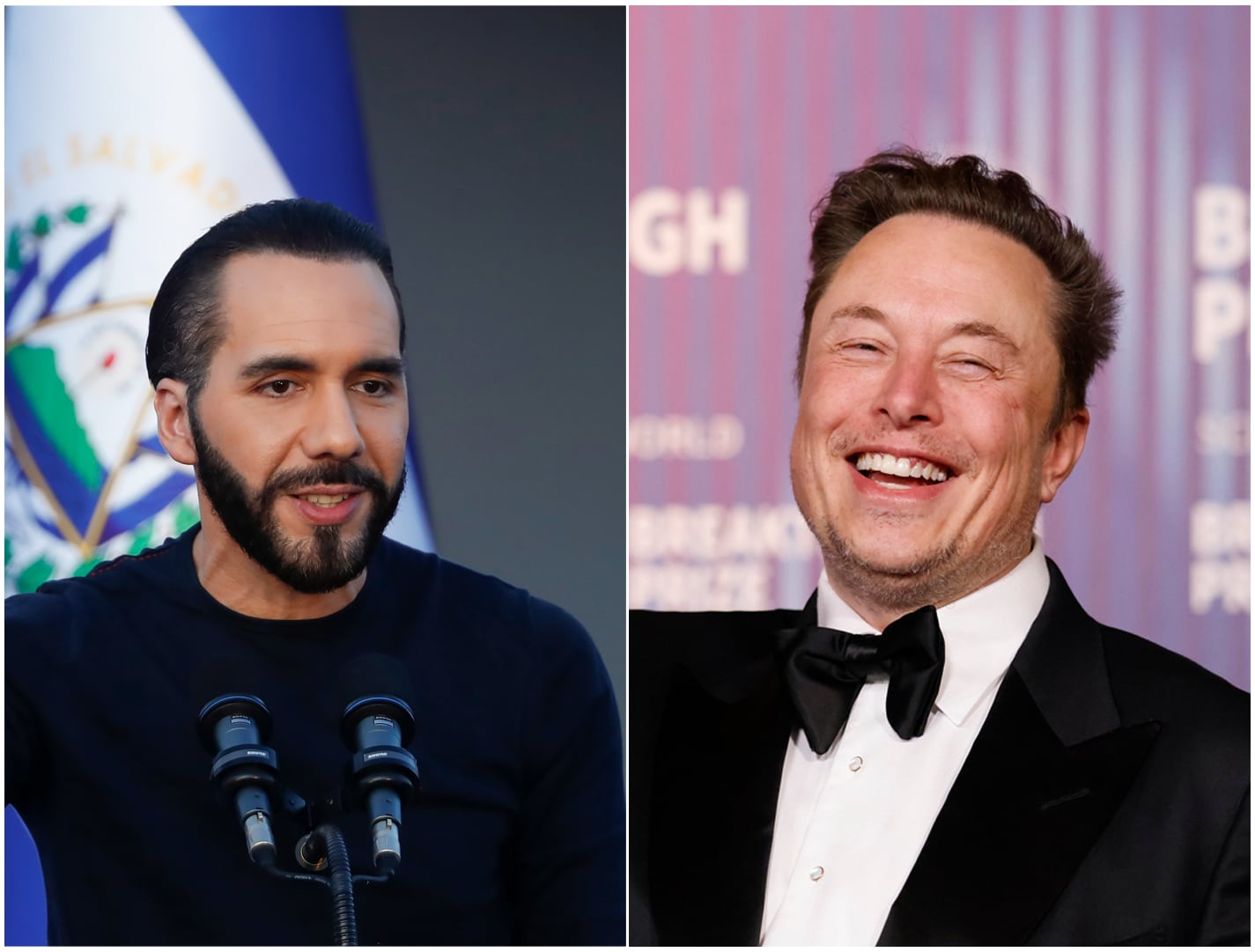 El presidente de El Salvador, Nayib Bukele, se reúne con el magnate Elon Musk