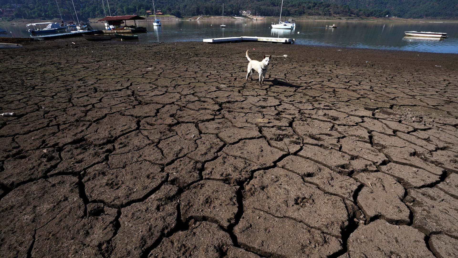 La escasez de agua deja a 12 entidades afectadas entre el 90 y 80% de su territorio. (AP Foto/Marco Ugarte, Archivo).