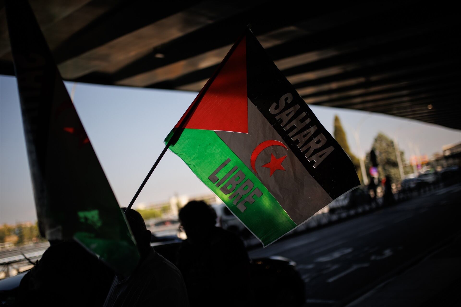 Activistas sostienen una bandera del 'Sahara Libre' en el aeropuerto madrileño. (Alejandro Martínez Vélez / Europa Press)