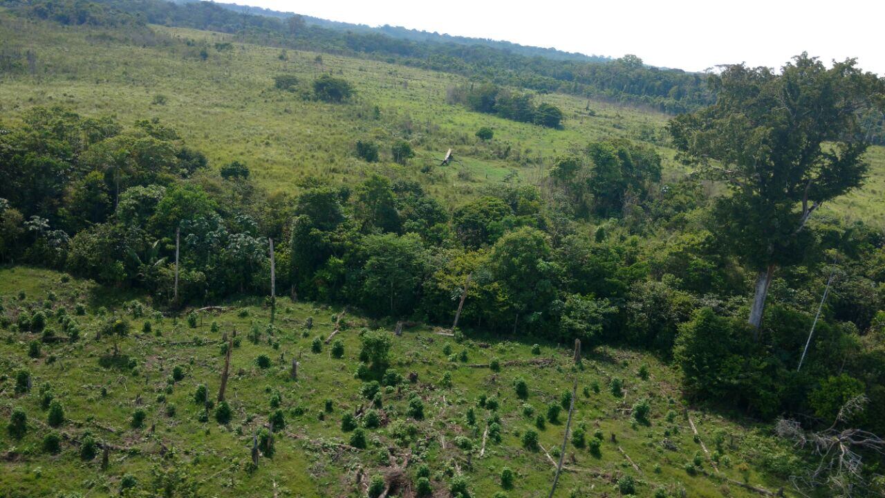 Terrenos baldíos en Colombia | FOTO: Colprensa.