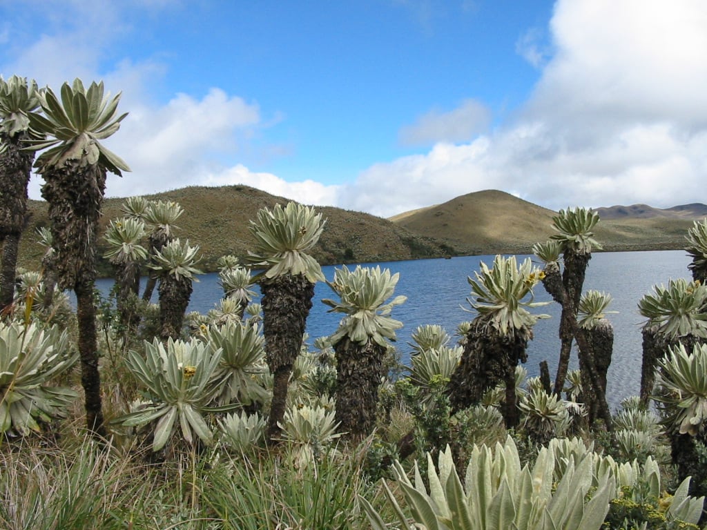 Día del Amor y la Amistad: tres lagunas cerca a Bogotá perfectas para una escapada