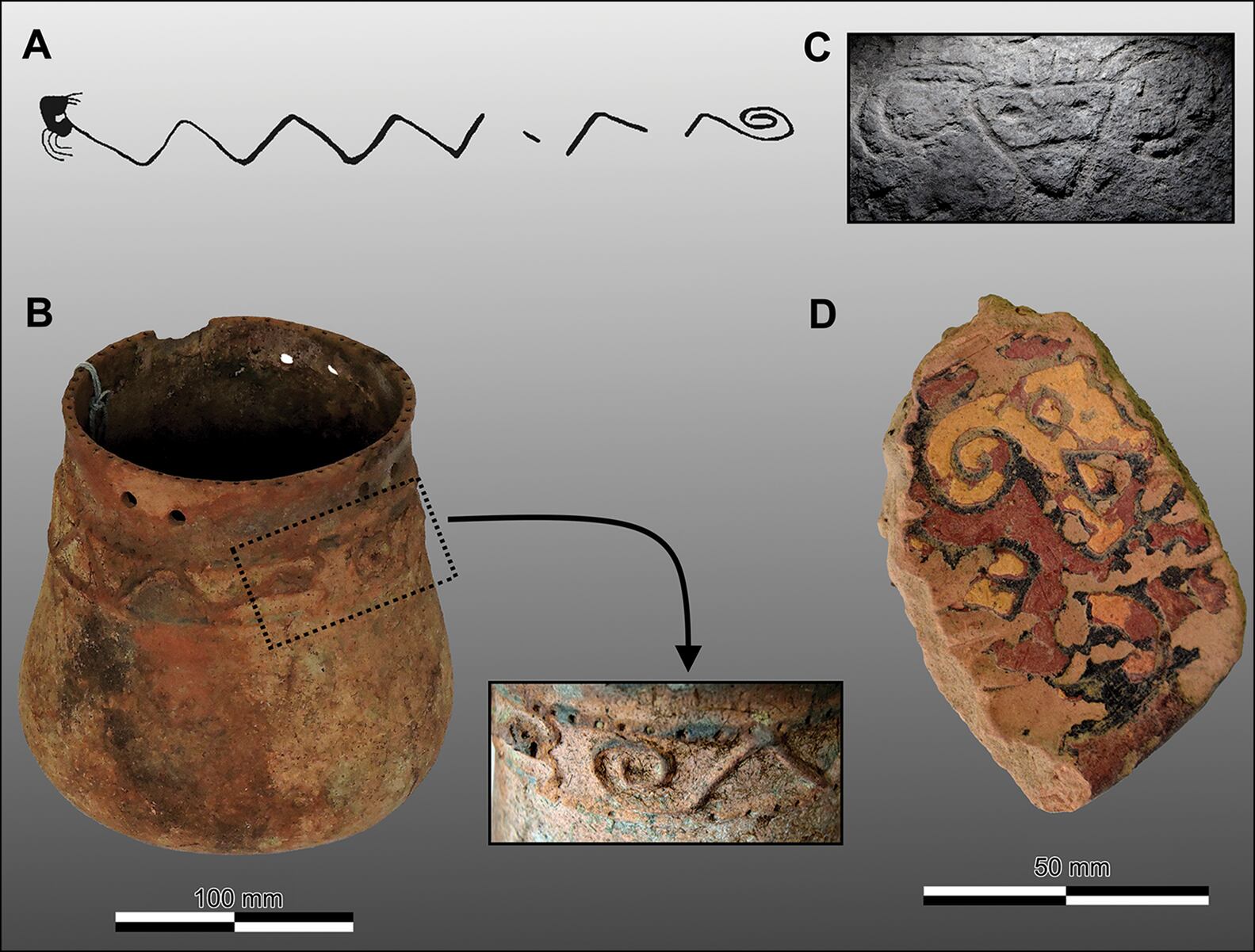 Cultura material paralela al arte rupestre del Orinoco: A) motivo de serpiente registrado en Cerro Palomazón (Colombia); B) un motivo similar de serpiente en aplique con cabeza cornuda y cola en espiral (recuadro) en una vasija Valloide de un entierro en Cueva Osario (Colombia), actualmente conservada en el Museo Etnológico de Amazonas Monseñor Enzo Ceccarelli, Puerto Ayacucho, Venezuela; C) un motivo de cabeza triangular con apéndices en espiral muy extendido, procedente del yacimiento de Picure; D) un tiesto de la serie Arauquinoide recogido en superficie, procedente del yacimiento de Rabo Cochino (Venezuela), que muestra una decoración parcial pintada que se asemeja a la de C, actualmente conservado en el Instituto Venezolano de Investigaciones Científicas, Caracas, Venezuela (figura de los autores).