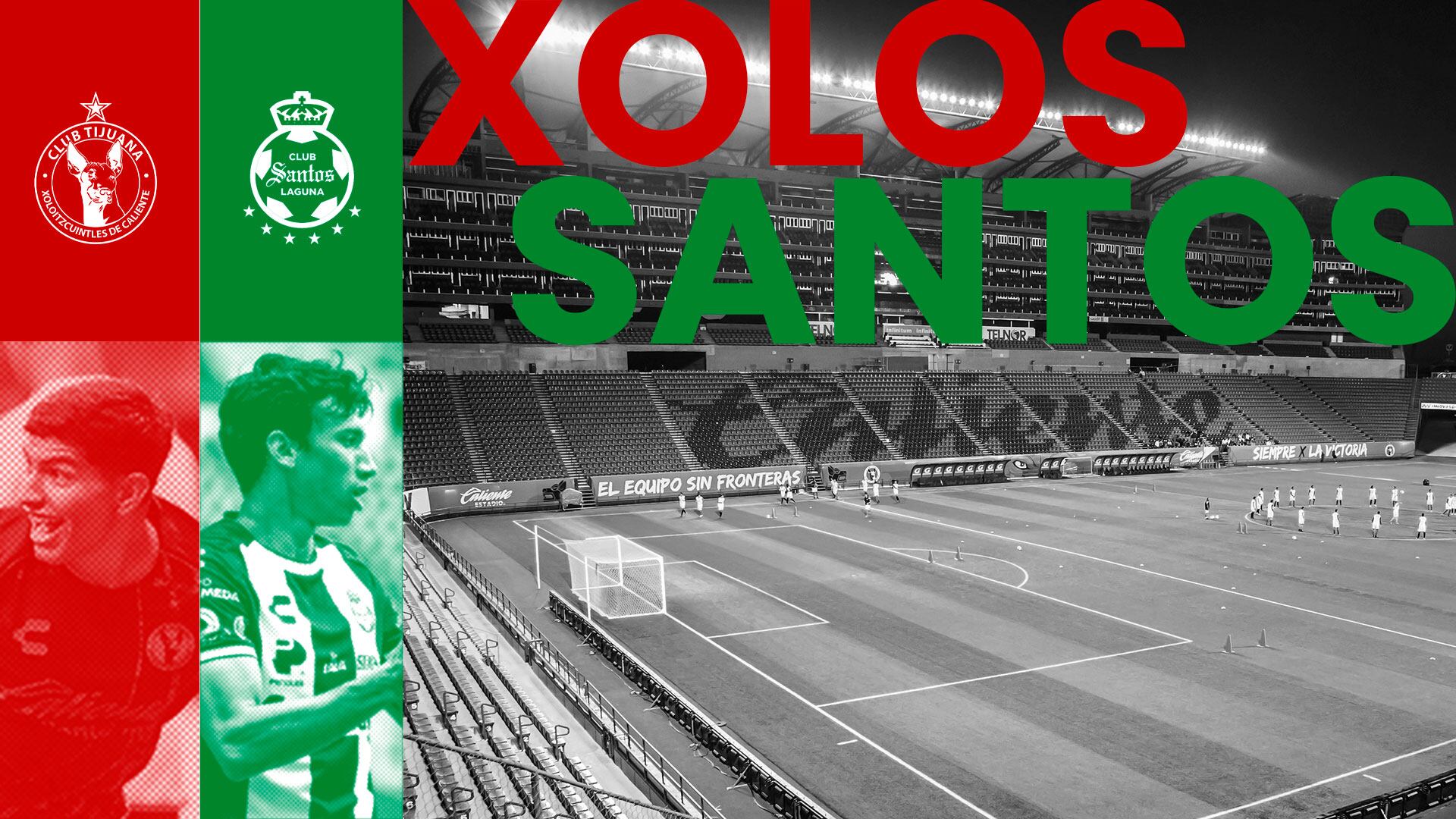 Xolos