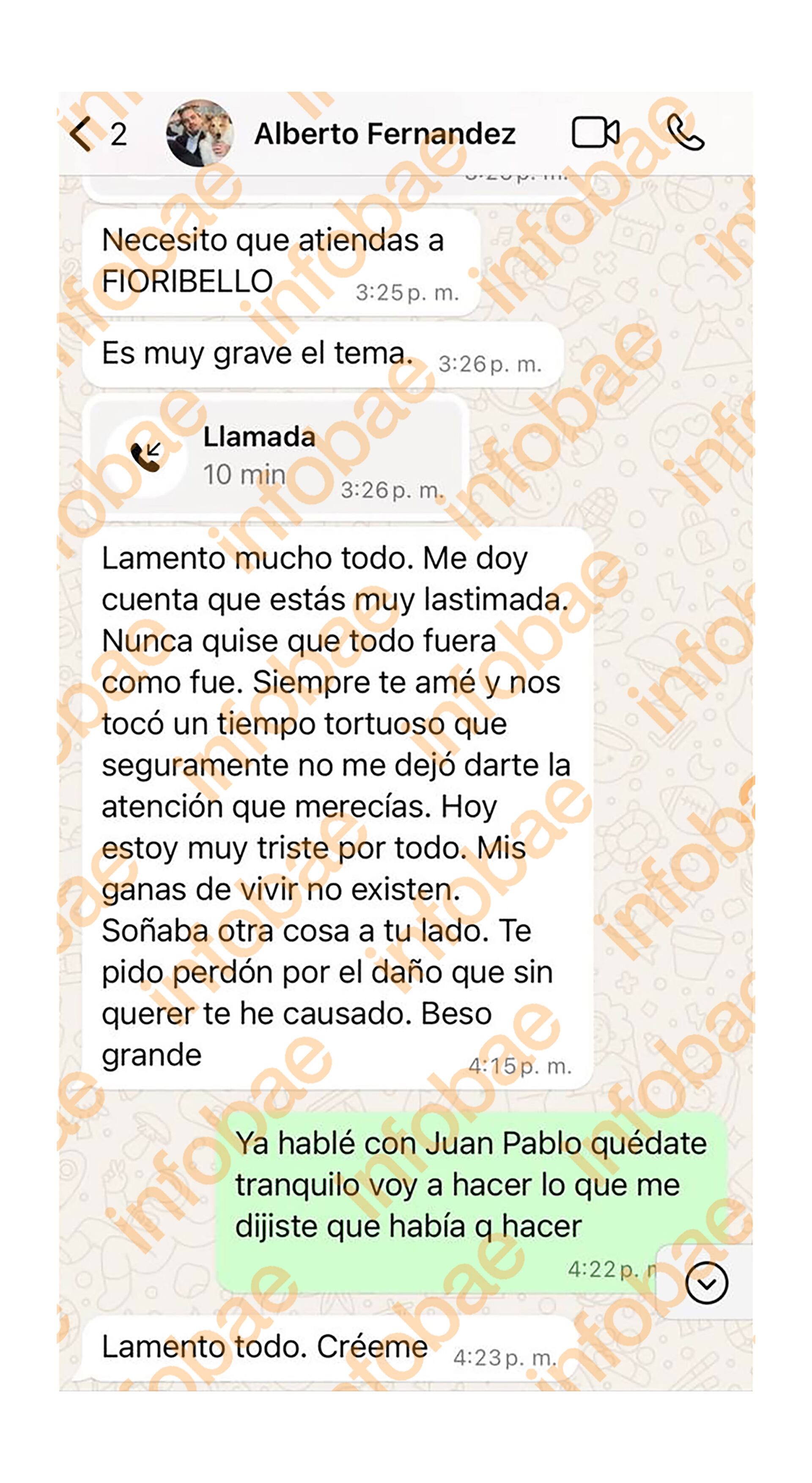 Chats Alberto Fernández Fabiola Yañez denuncia violencia de género