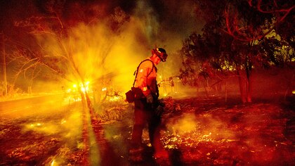 22 fotos impactantes de los incendios forestales que arrasan California: evacuaron de urgencia a 7 mil personas