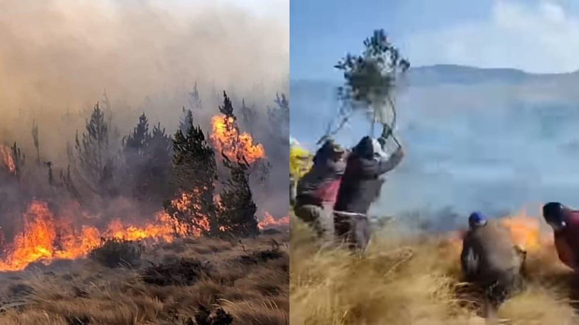 Incendio forestal en Chiclayo.