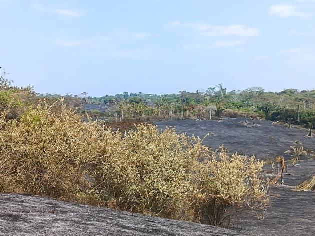 incendio forestal en peru