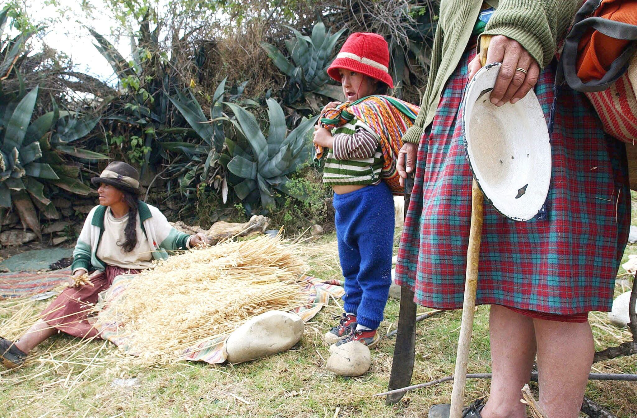 La mayoría de las madres colombianas solo alcanzaron niveles de educación media o técnica - crédito Paolo Aguilar/EFE
