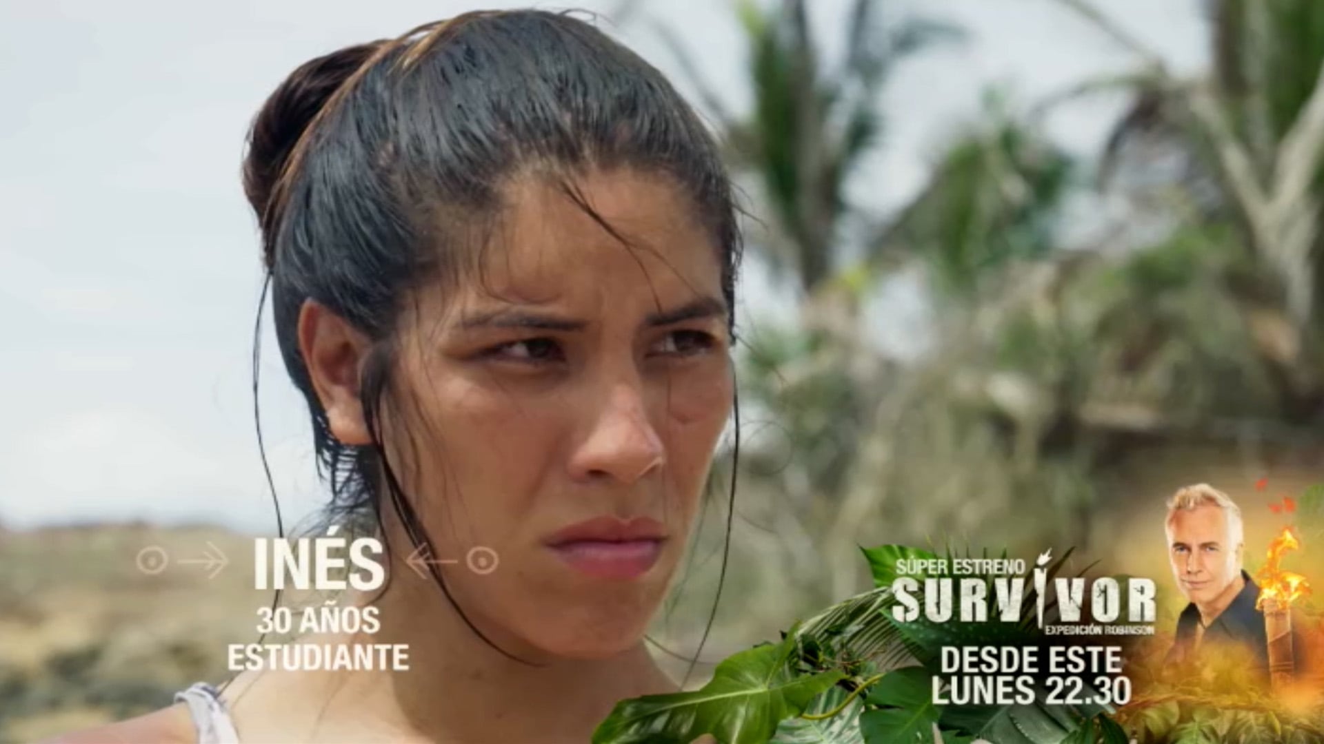 SURVIVOR - 8 PARTICIPANTES