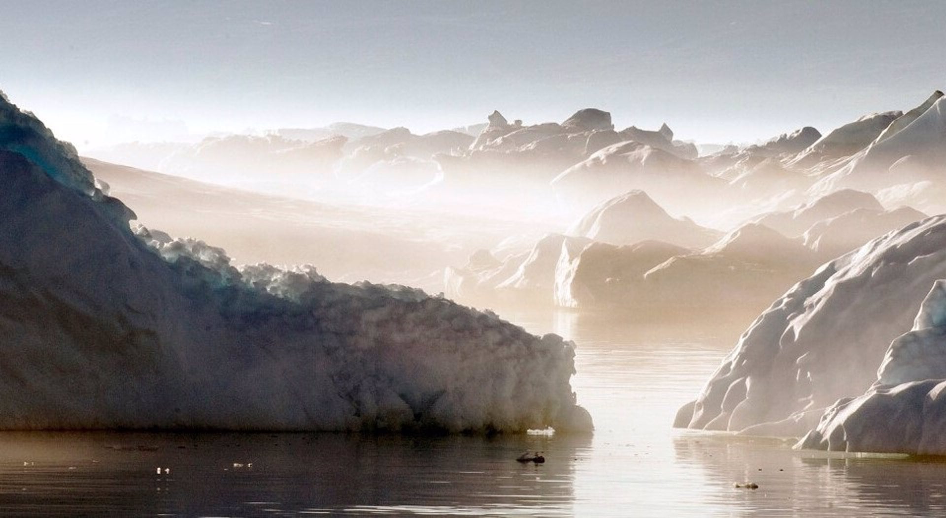 El entorno de luz extremo de los polos sostiene la biodiversidad