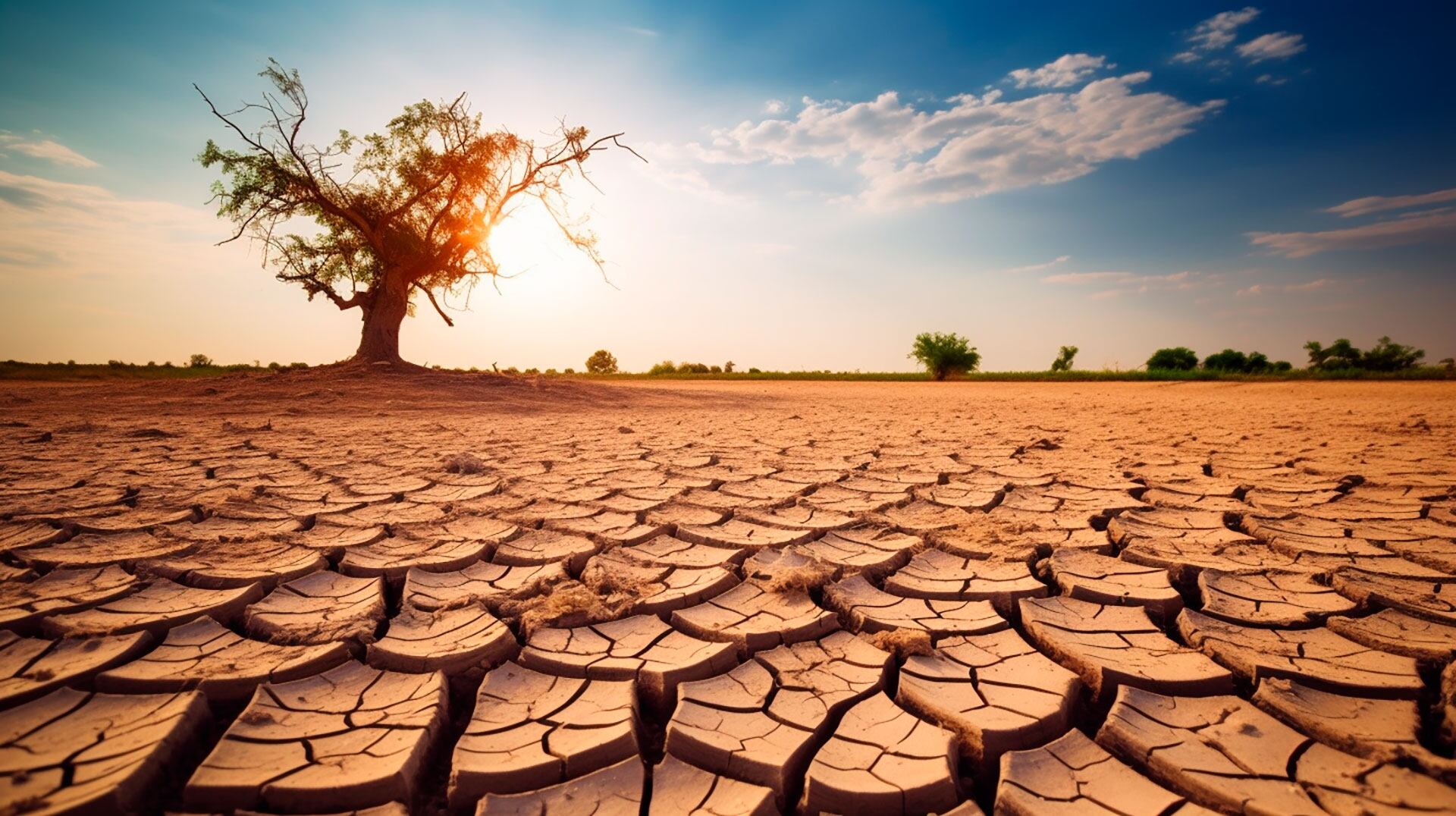 Aumento de las temperaturas globales, con julio marcando un pico histórico, ilustrando el impacto del cambio climático.