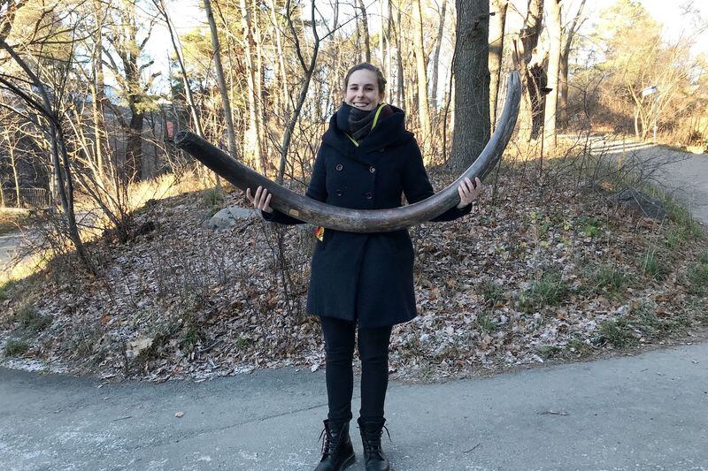 Imagen de 2018 de la científica Marianne Dehasque mostrando un colmillo de mamut lanudo en Estocolmo, Suecia. Love Dalen/entrega vía Reuters