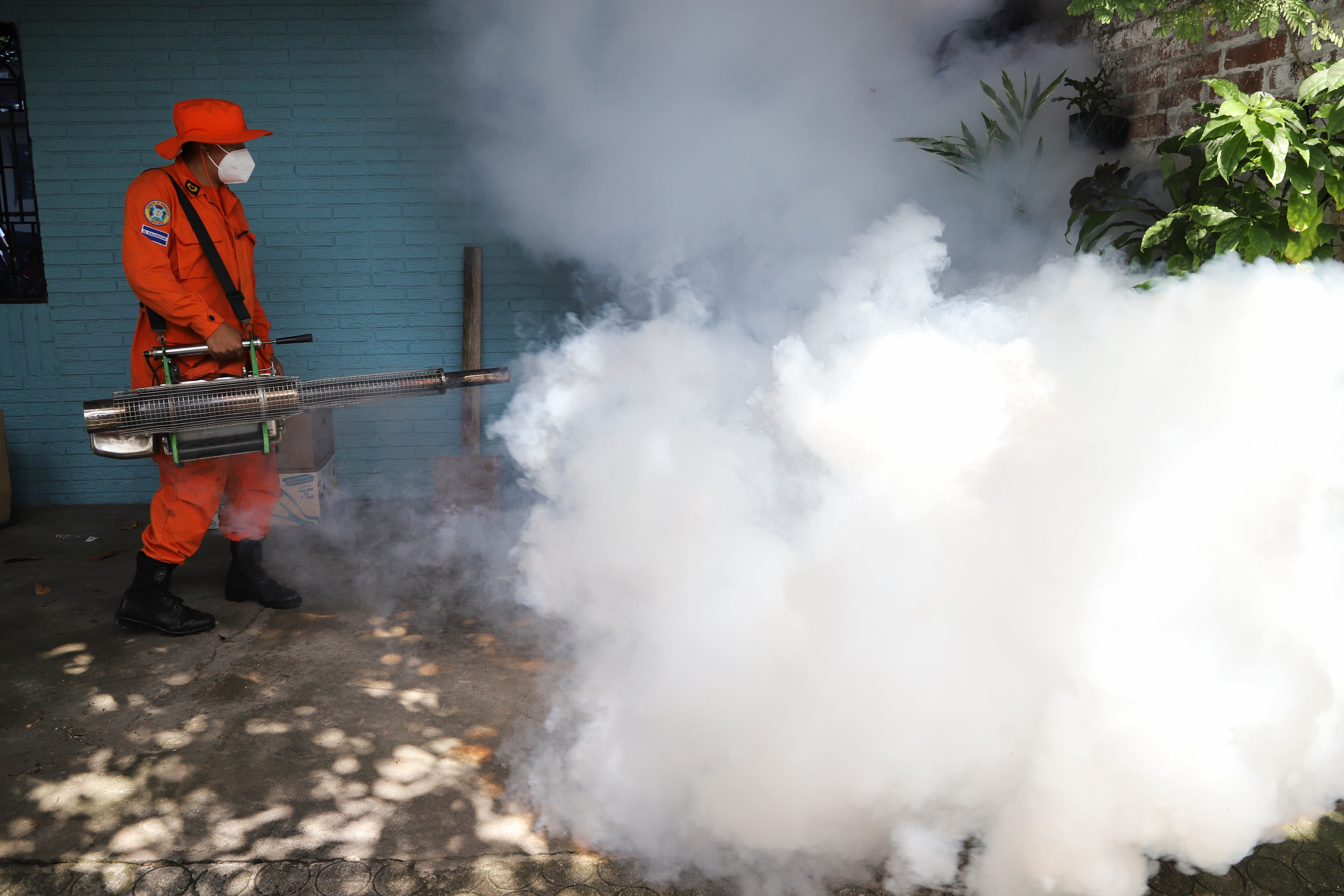 Archivo - Un trabajador fumiga el patio de una casa para controlar la propagación de enfermedades transmitidas por mosquitos. (AP Foto/Salvador Meléndez, Archivo)