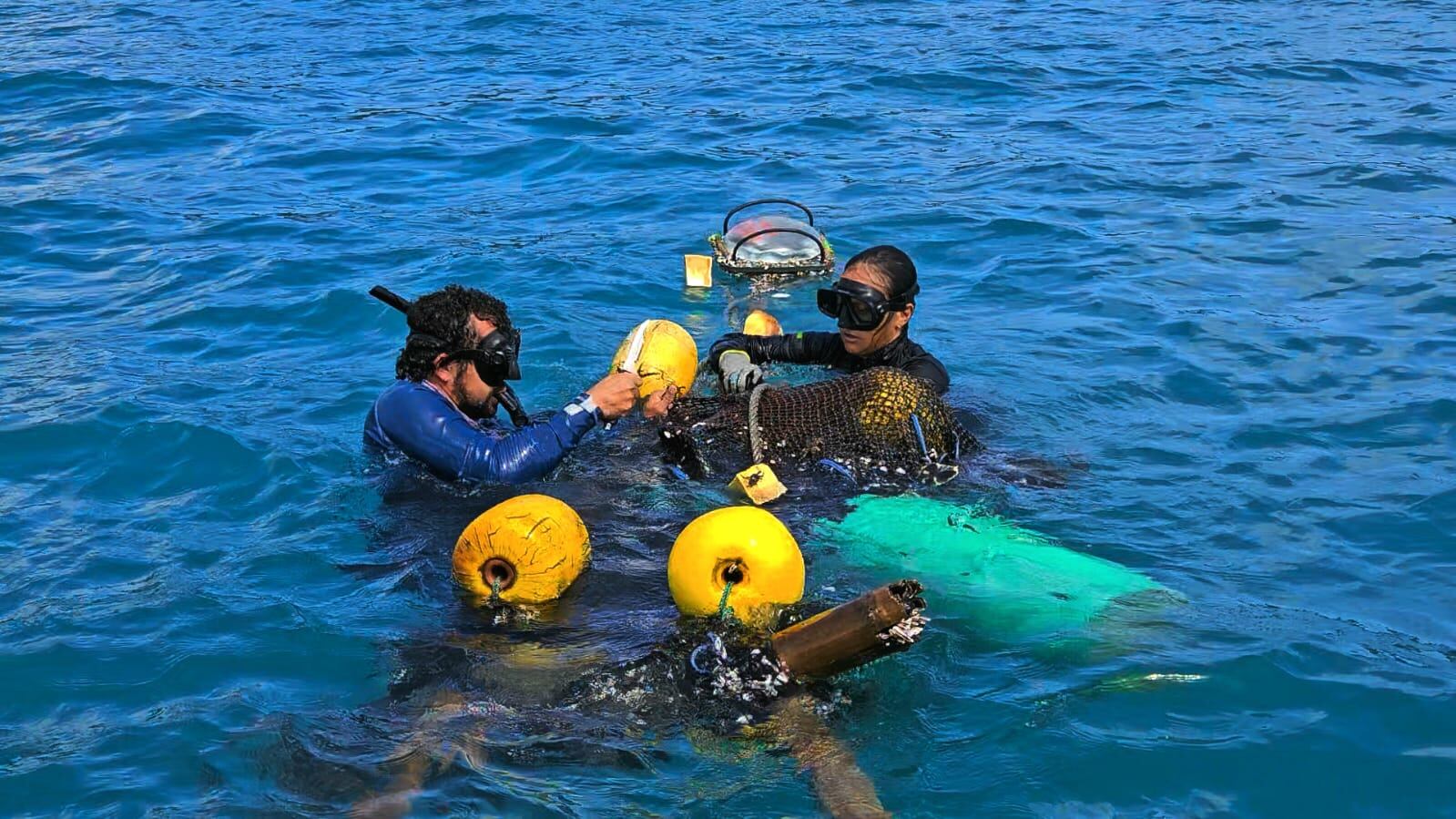 Así fue el rescate de una tortuga que estaba atrapada en una red de pesca en la isla de Gorgona